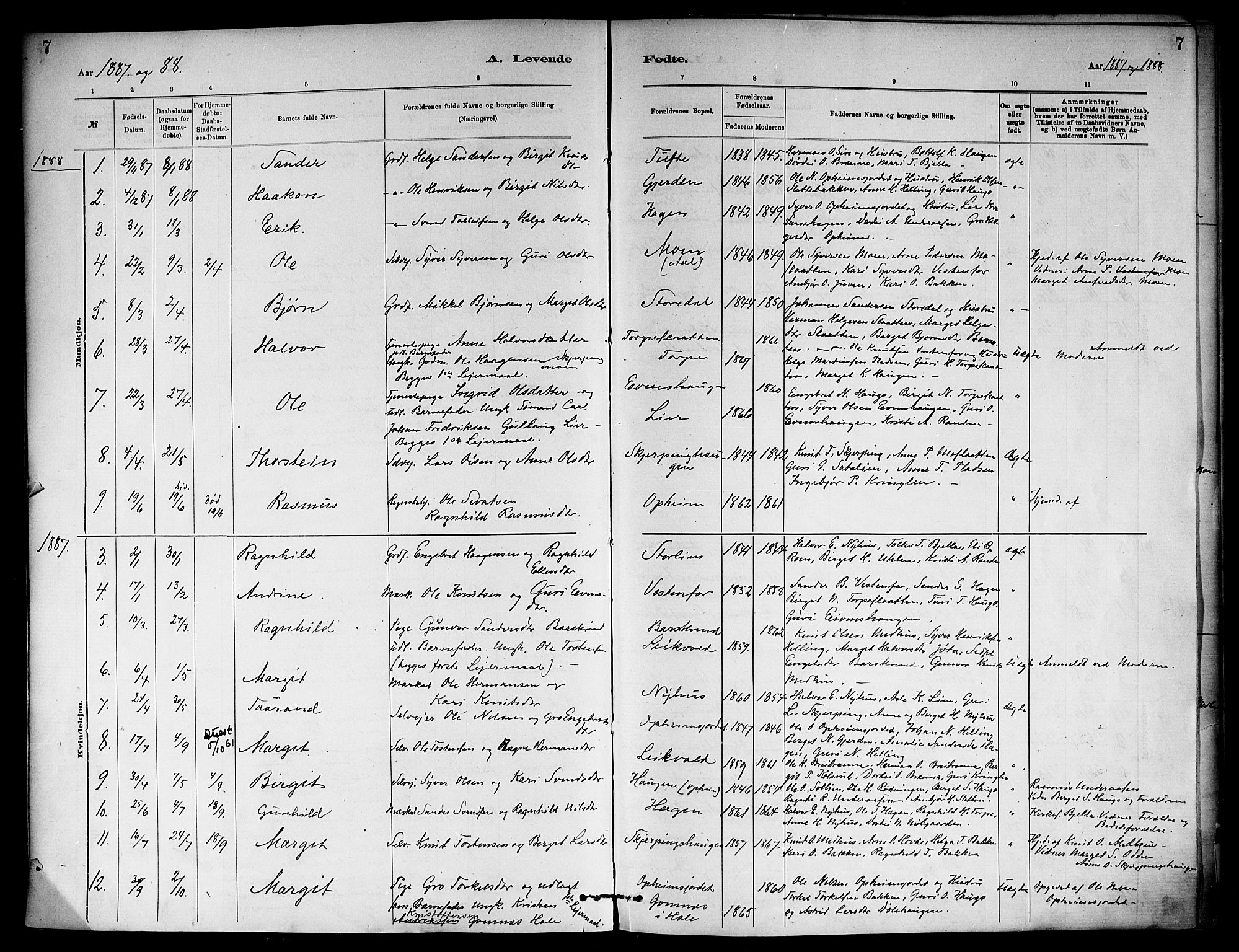 Ål kirkebøker, SAKO/A-249/F/Fb/L0001: Parish register (official) no. II 1, 1882-1899, p. 7