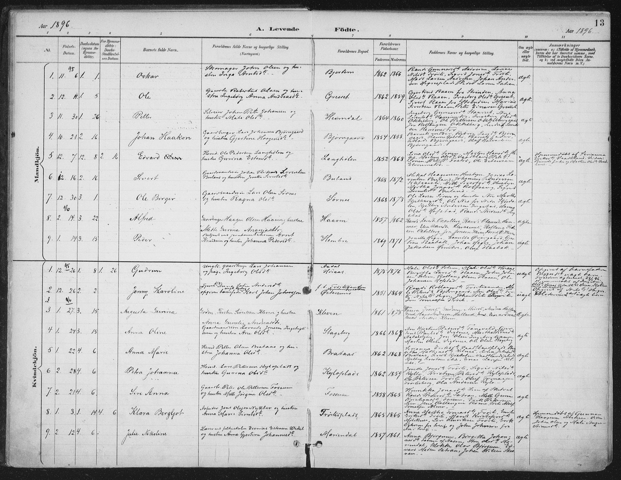 Ministerialprotokoller, klokkerbøker og fødselsregistre - Nord-Trøndelag, SAT/A-1458/703/L0031: Parish register (official) no. 703A04, 1893-1914, p. 13