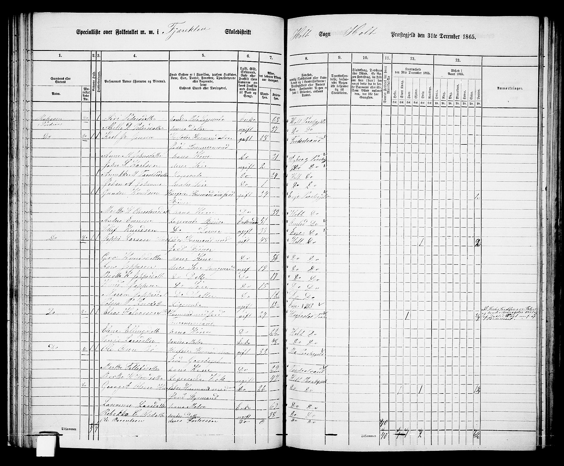 RA, 1865 census for Holt/Holt, 1865, p. 48