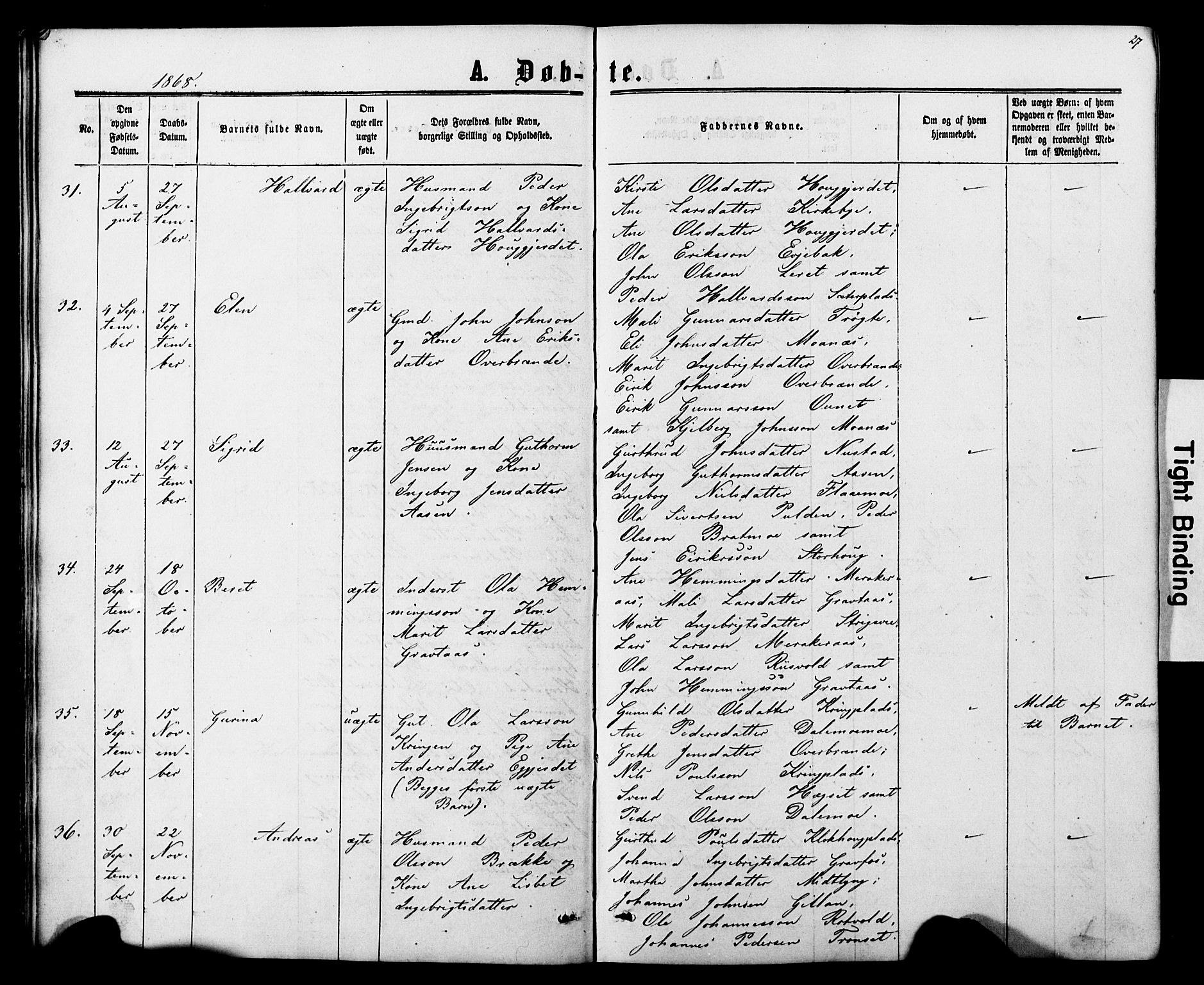 Ministerialprotokoller, klokkerbøker og fødselsregistre - Nord-Trøndelag, SAT/A-1458/706/L0049: Parish register (copy) no. 706C01, 1864-1895, p. 27
