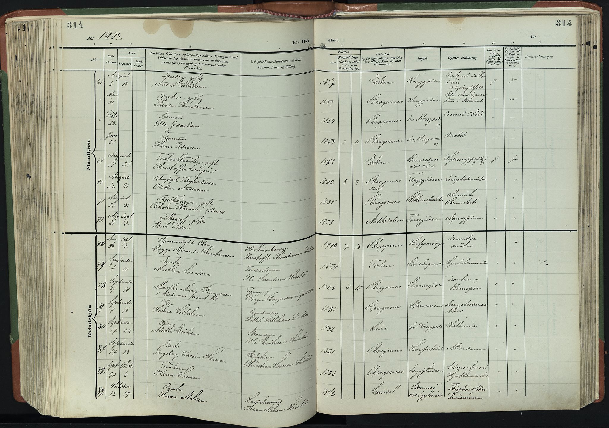 Bragernes kirkebøker, AV/SAKO-A-6/F/Fb/L0009: Parish register (official) no. II 9, 1902-1911, p. 314