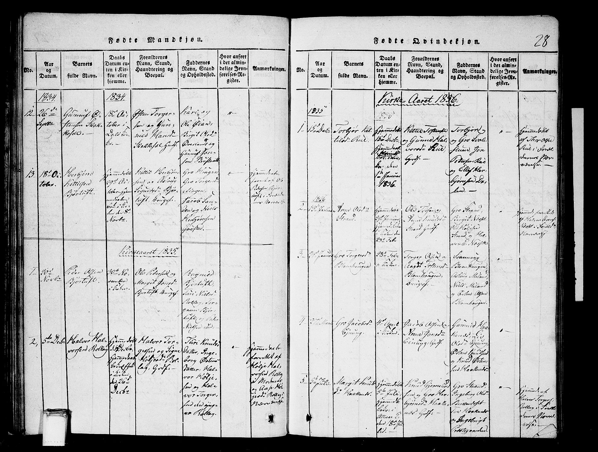 Tinn kirkebøker, SAKO/A-308/G/Gb/L0001: Parish register (copy) no. II 1 /1, 1815-1850, p. 28