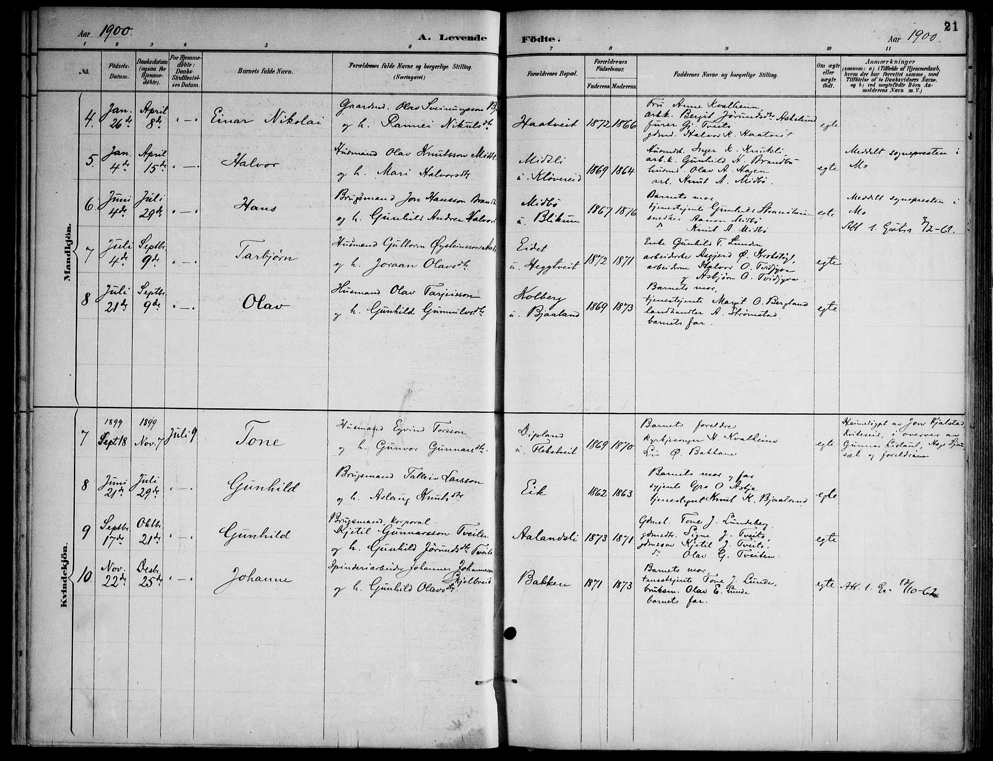 Lårdal kirkebøker, SAKO/A-284/F/Fa/L0007: Parish register (official) no. I 7, 1887-1906, p. 21