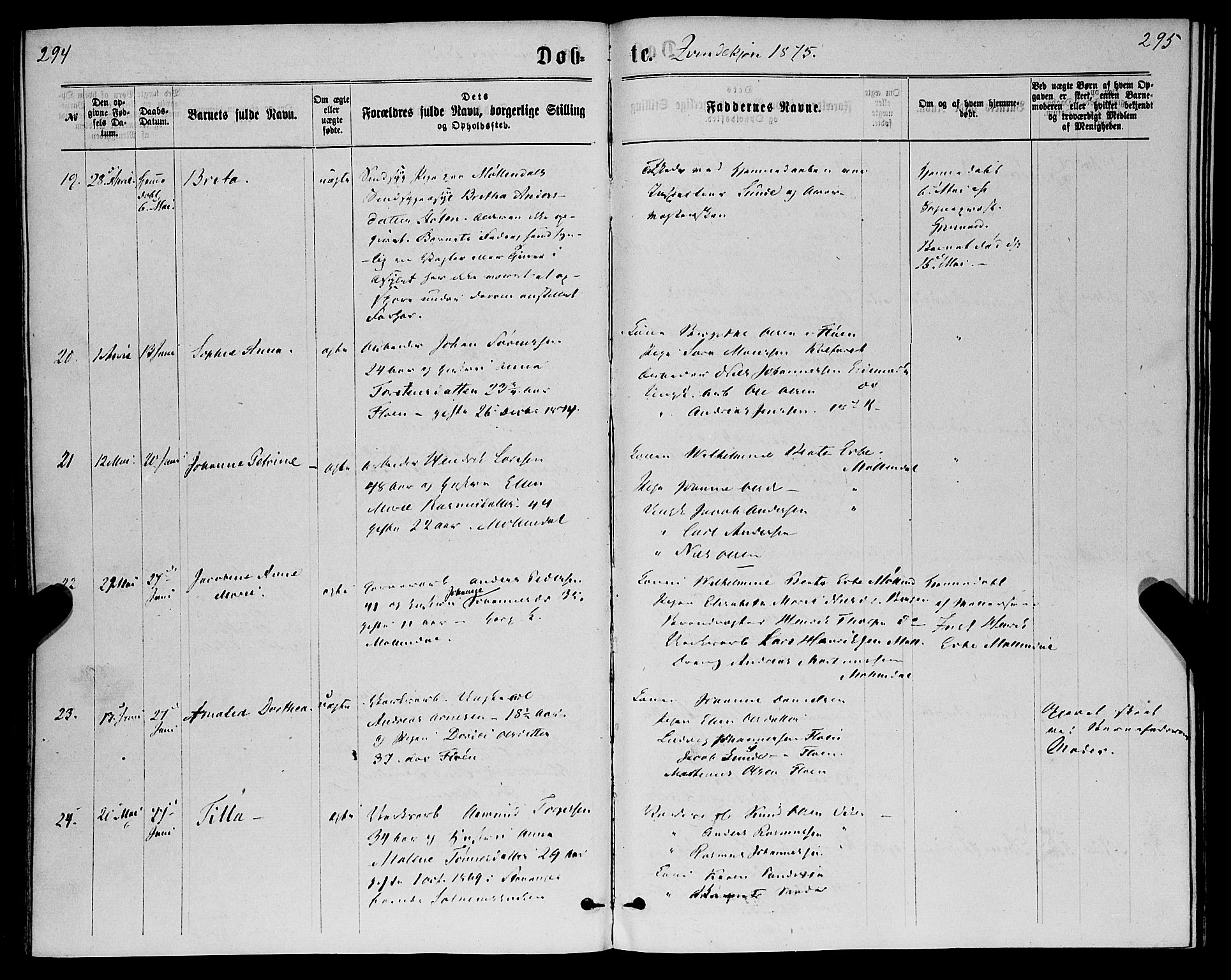 St. Jørgens hospital og Årstad sokneprestembete, AV/SAB-A-99934: Parish register (official) no. A 6, 1870-1878, p. 294-295