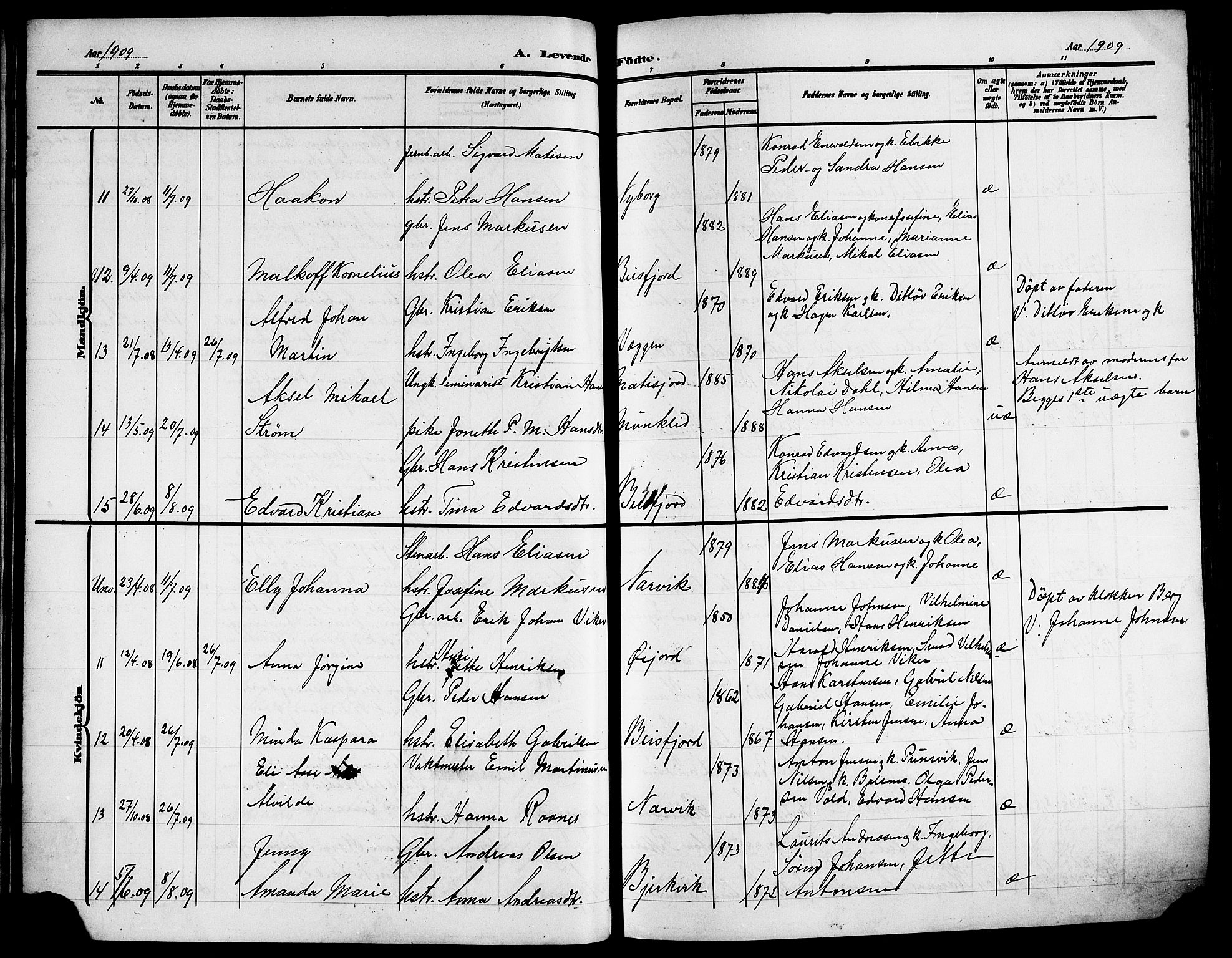 Ministerialprotokoller, klokkerbøker og fødselsregistre - Nordland, AV/SAT-A-1459/866/L0954: Parish register (copy) no. 866C03, 1905-1923