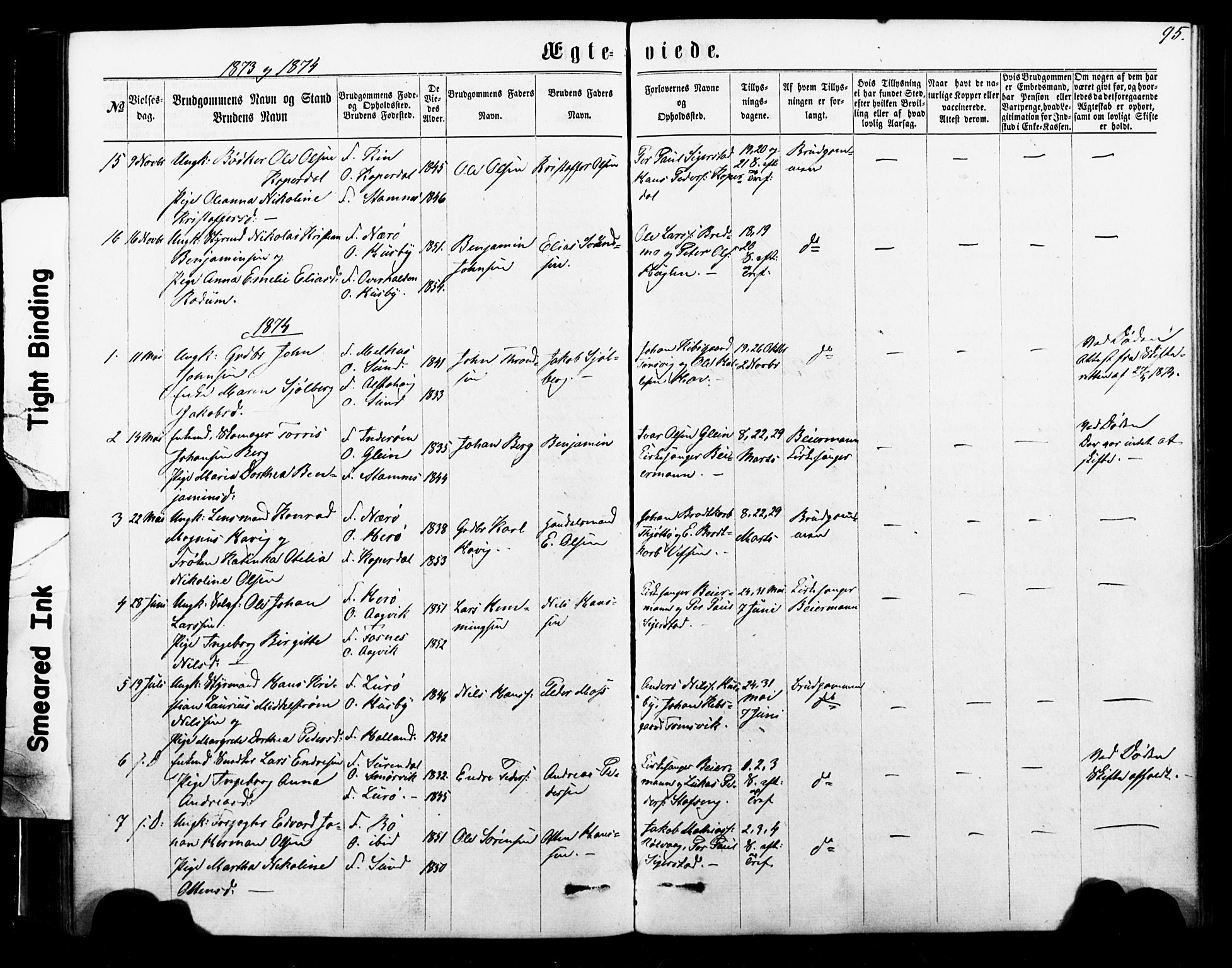 Ministerialprotokoller, klokkerbøker og fødselsregistre - Nordland, SAT/A-1459/835/L0524: Parish register (official) no. 835A02, 1865-1880, p. 95
