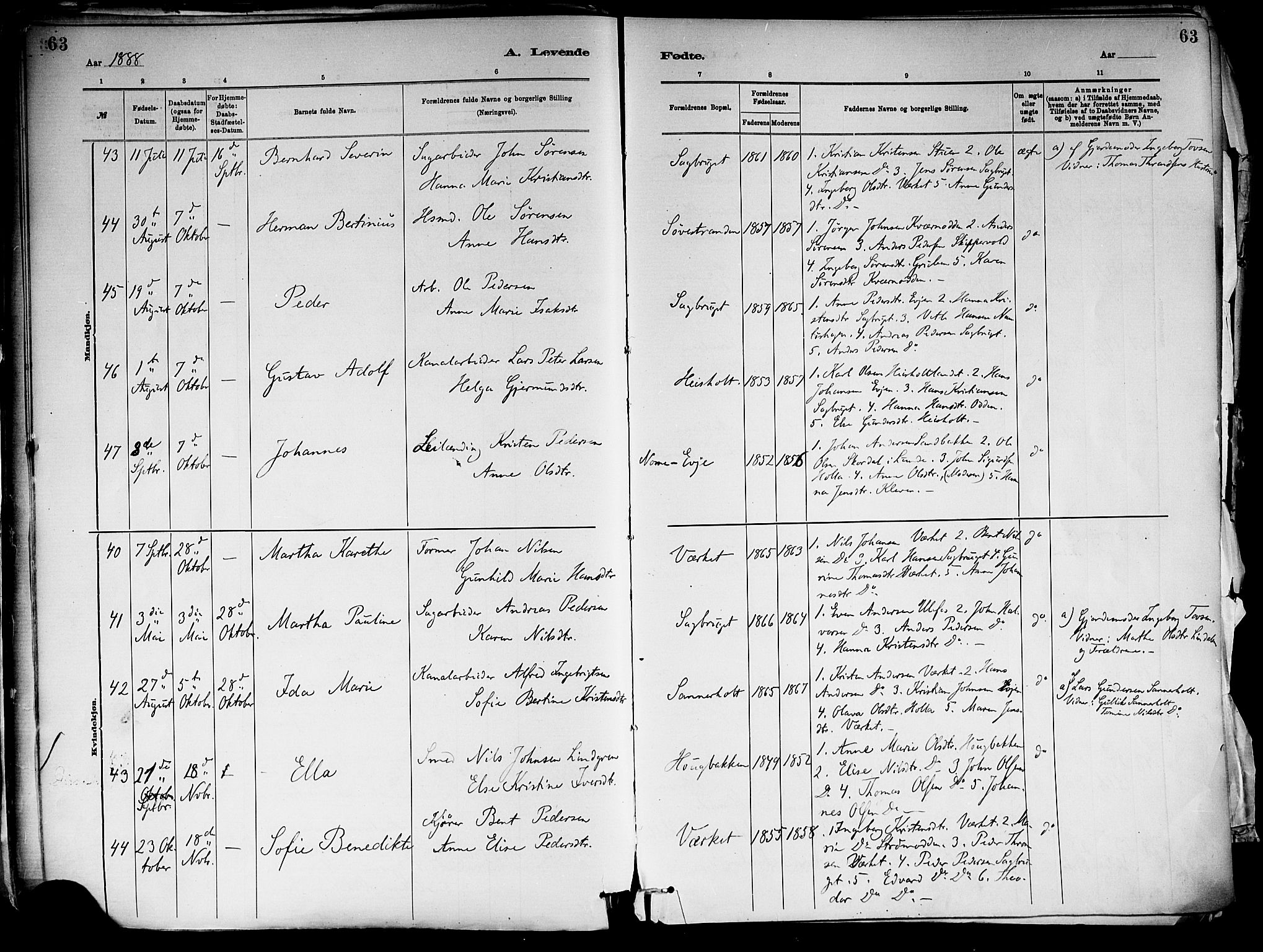 Holla kirkebøker, AV/SAKO-A-272/F/Fa/L0008: Parish register (official) no. 8, 1882-1897, p. 63