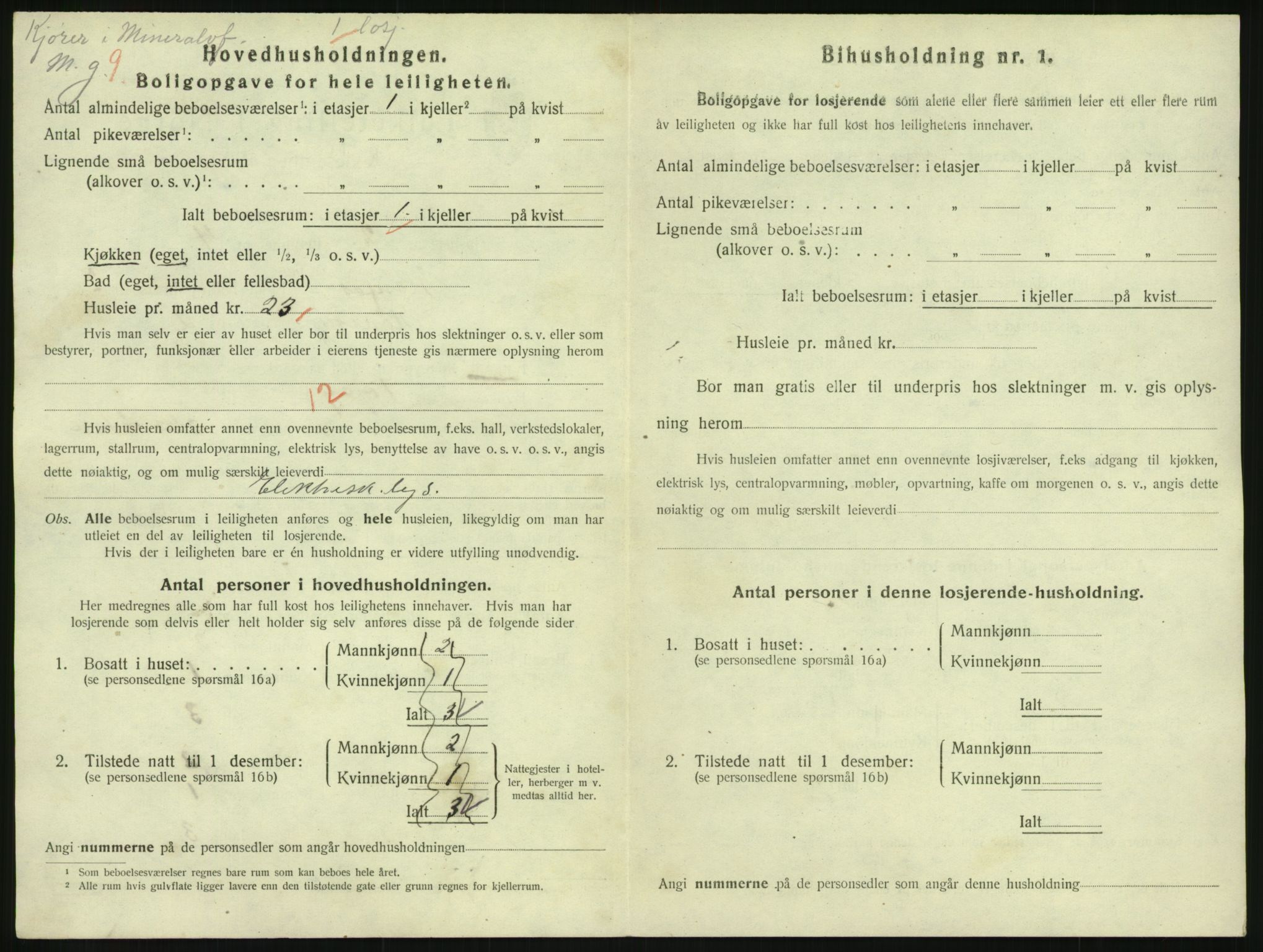 SAKO, 1920 census for Hønefoss, 1920, p. 1167