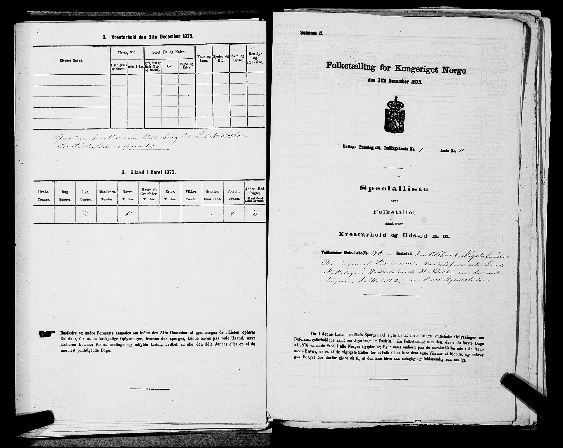 SAKO, 1875 census for 0632P Rollag, 1875, p. 124