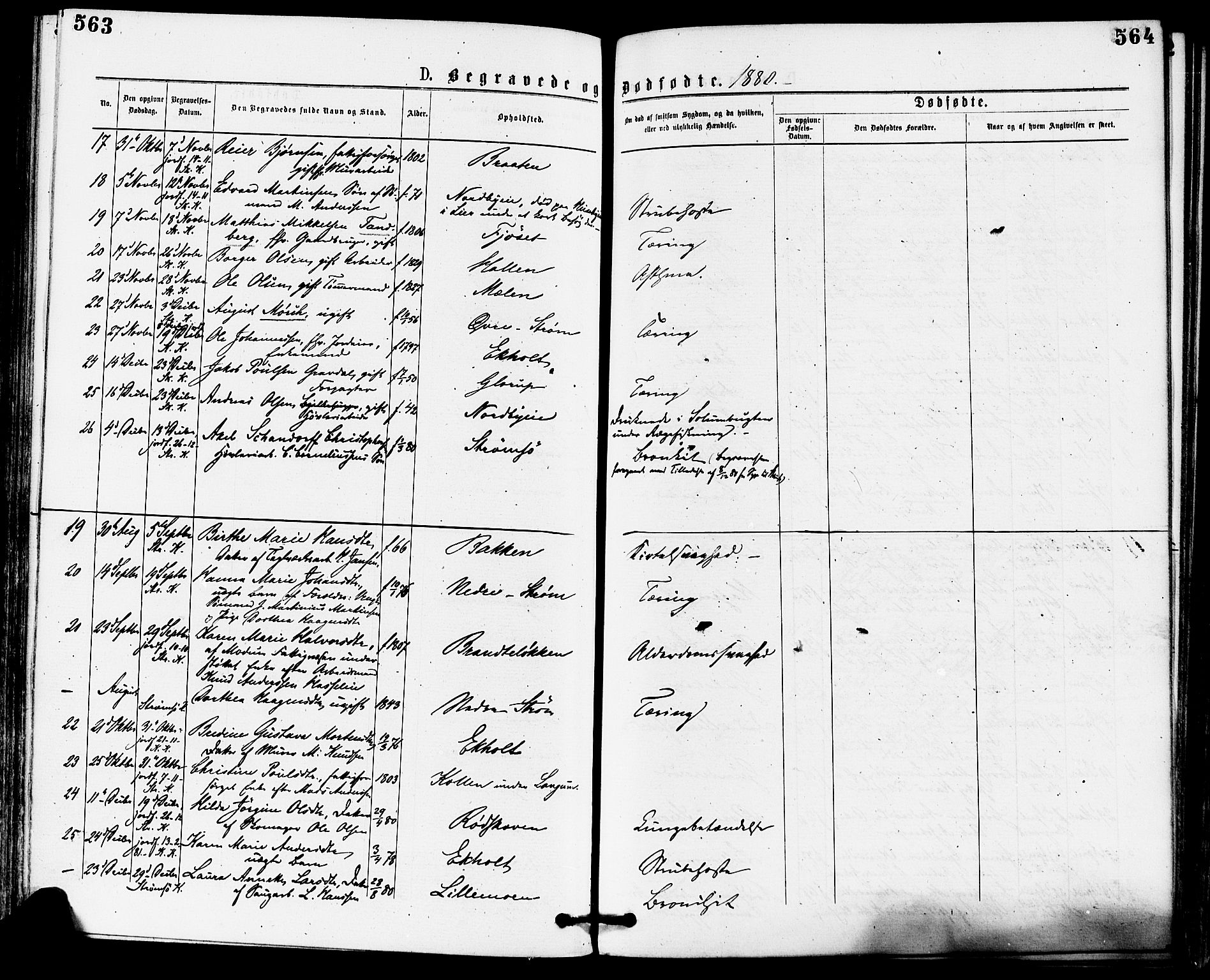 Skoger kirkebøker, AV/SAKO-A-59/F/Fa/L0005: Parish register (official) no. I 5, 1873-1884, p. 563-564