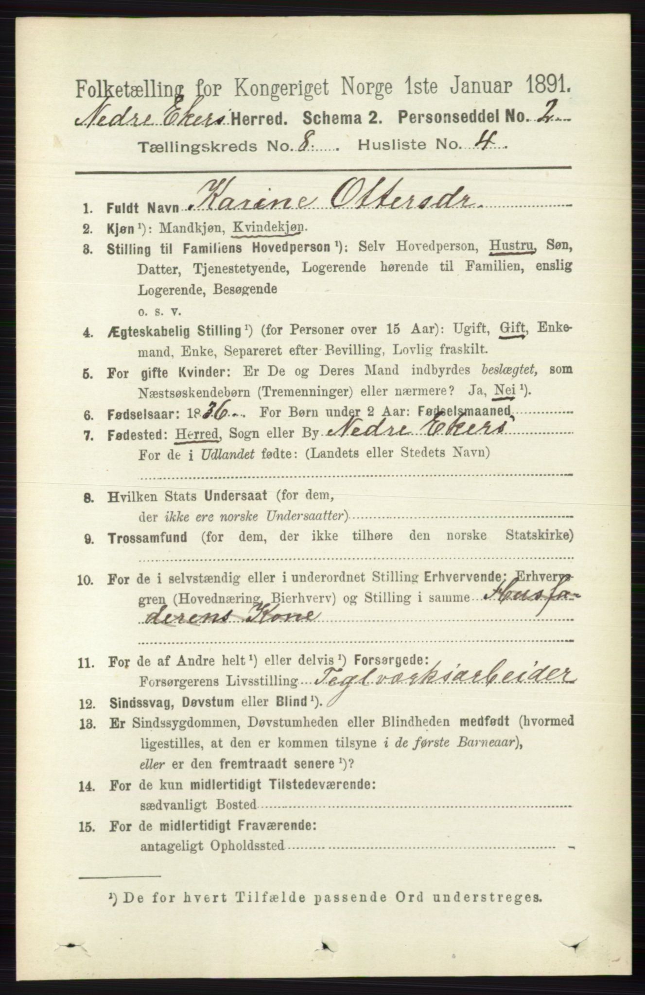 RA, 1891 census for 0625 Nedre Eiker, 1891, p. 3978