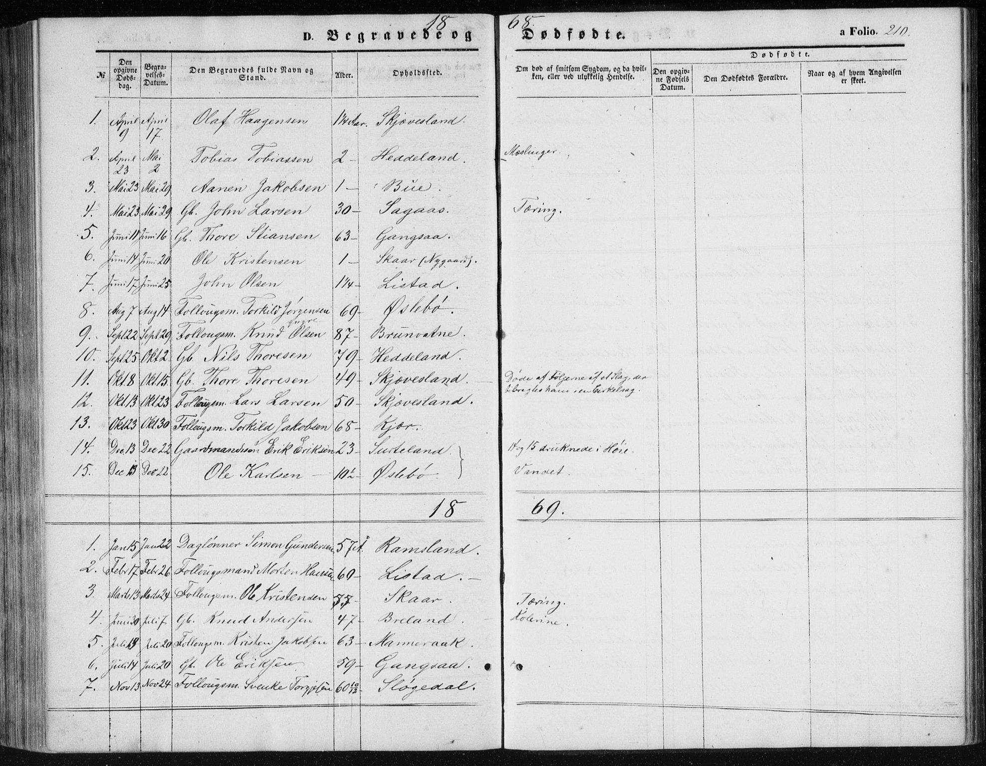 Holum sokneprestkontor, SAK/1111-0022/F/Fb/Fbc/L0002: Parish register (copy) no. B 2, 1860-1882, p. 210