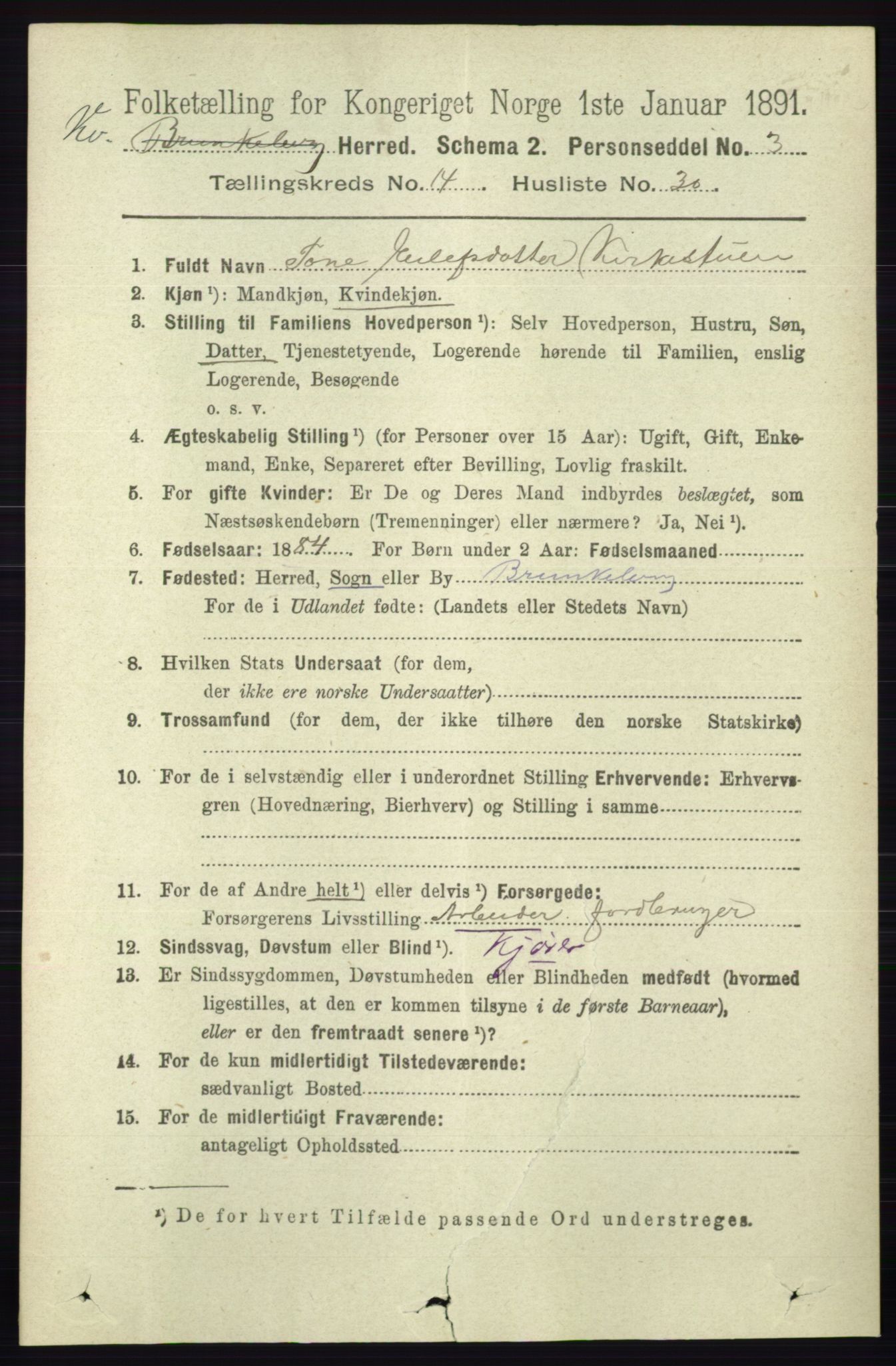 RA, 1891 census for 0829 Kviteseid, 1891, p. 3498