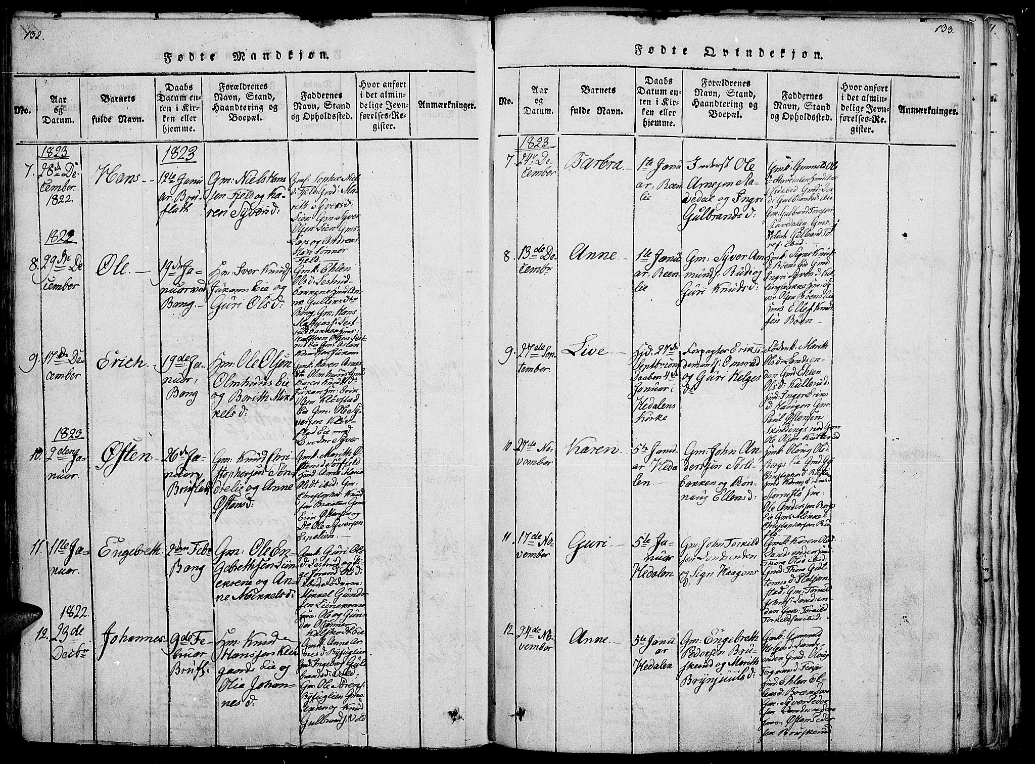 Sør-Aurdal prestekontor, SAH/PREST-128/H/Ha/Haa/L0002: Parish register (official) no. 2, 1815-1840, p. 132-133