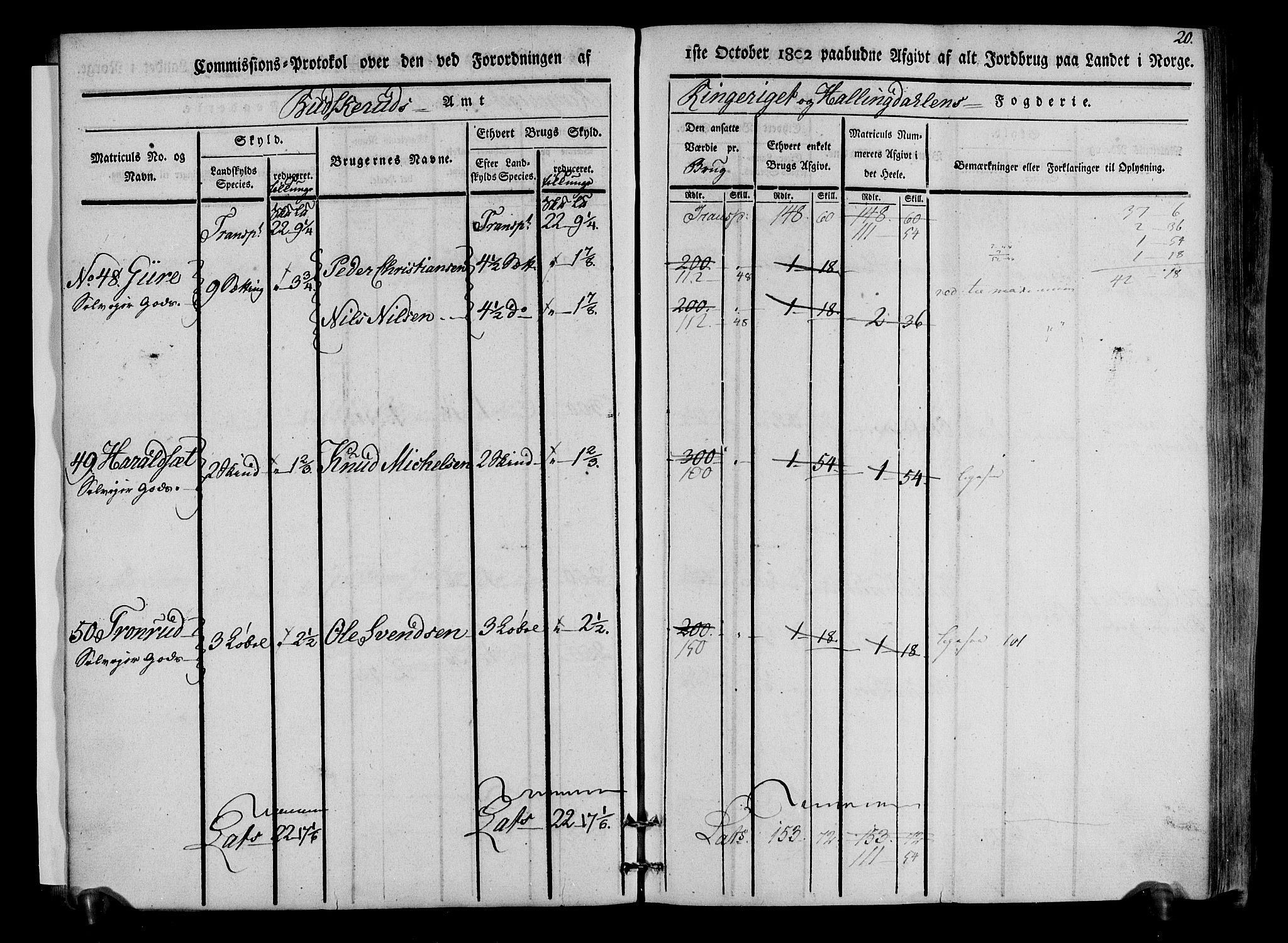 Rentekammeret inntil 1814, Realistisk ordnet avdeling, AV/RA-EA-4070/N/Ne/Nea/L0047: Ringerike og Hallingdal fogderi. Kommisjonsprotokoll for Nes prestegjeld, 1803, p. 21