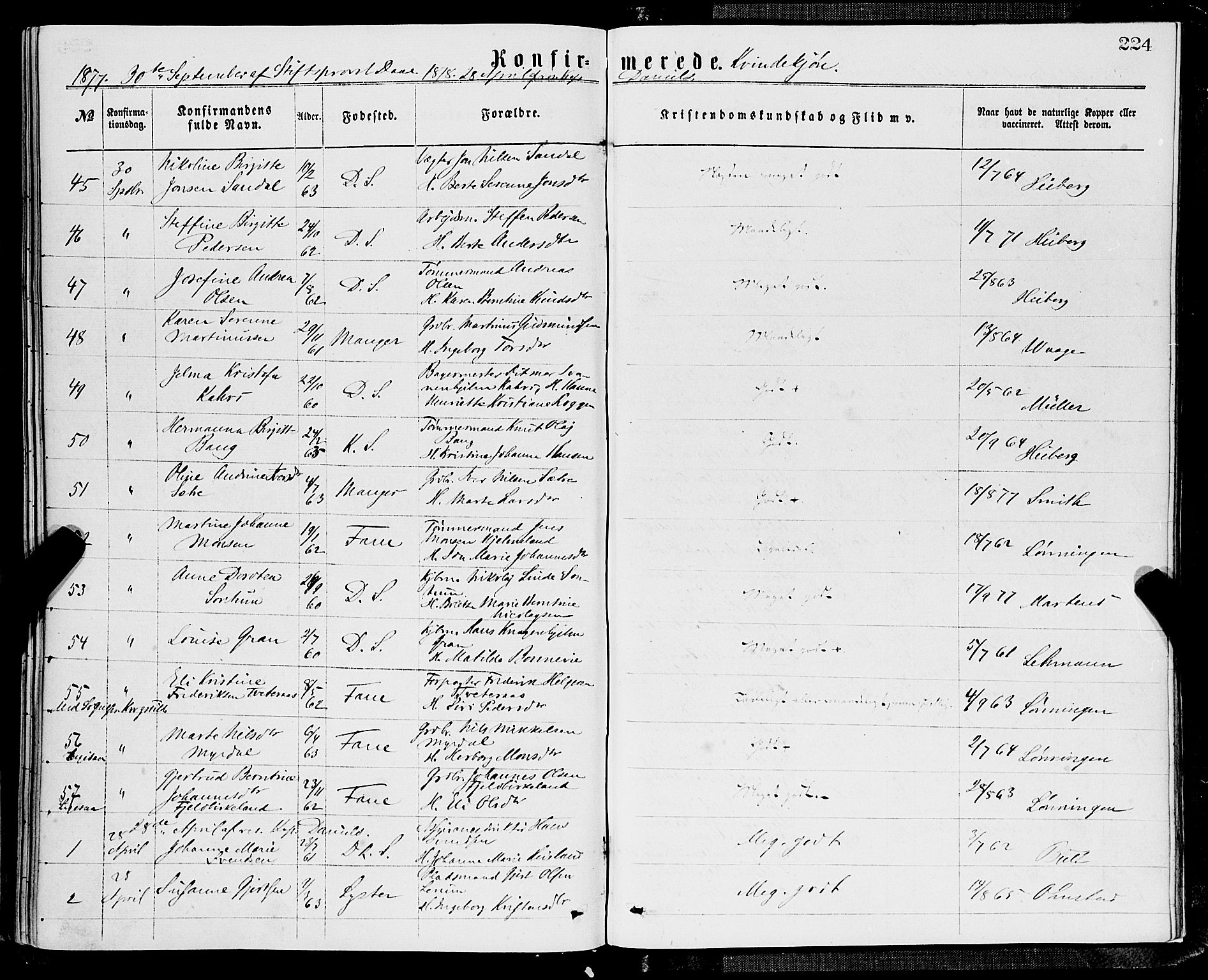 Domkirken sokneprestembete, SAB/A-74801/H/Haa/L0029: Parish register (official) no. C 4, 1864-1879, p. 224