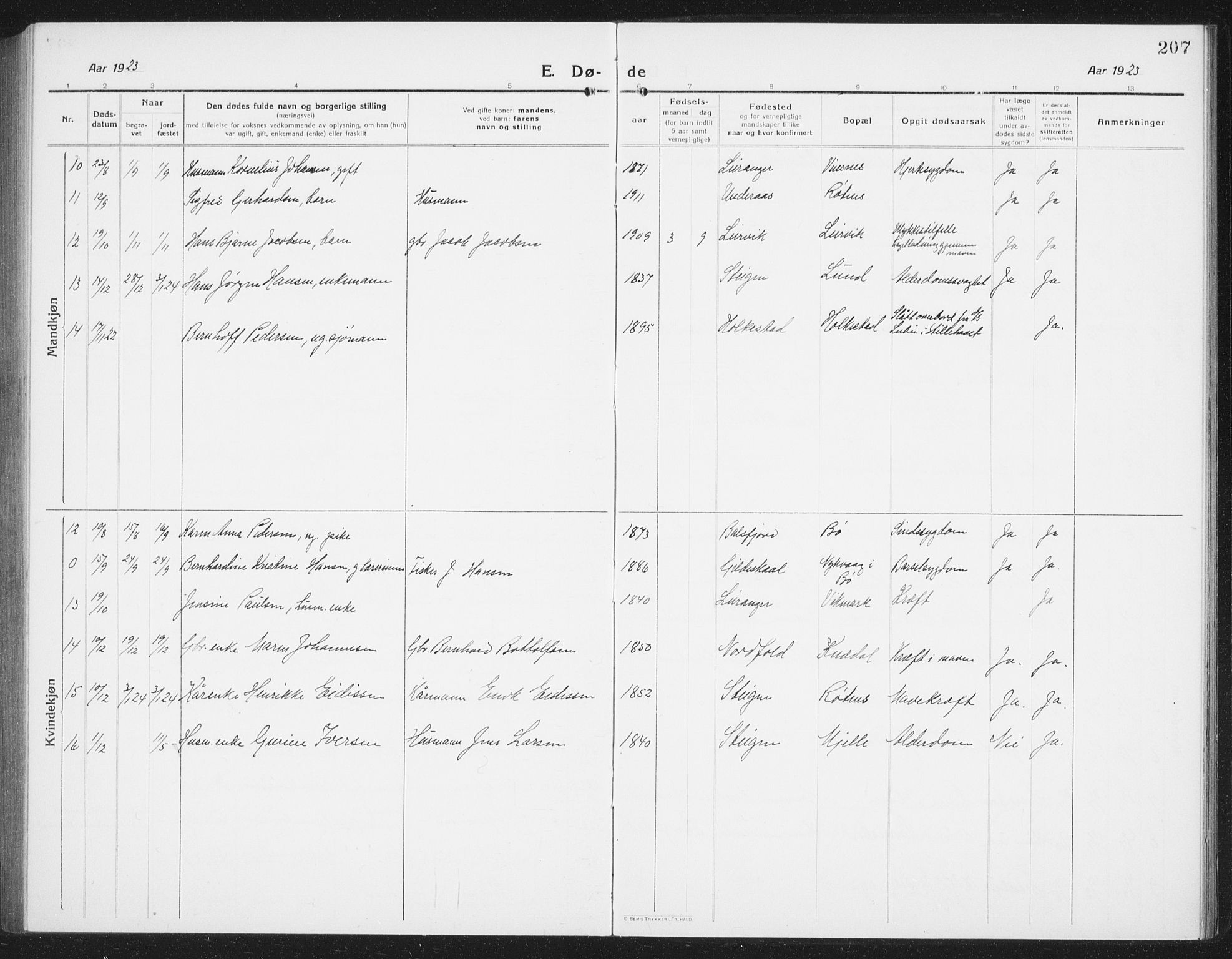 Ministerialprotokoller, klokkerbøker og fødselsregistre - Nordland, AV/SAT-A-1459/855/L0817: Parish register (copy) no. 855C06, 1917-1934, p. 207