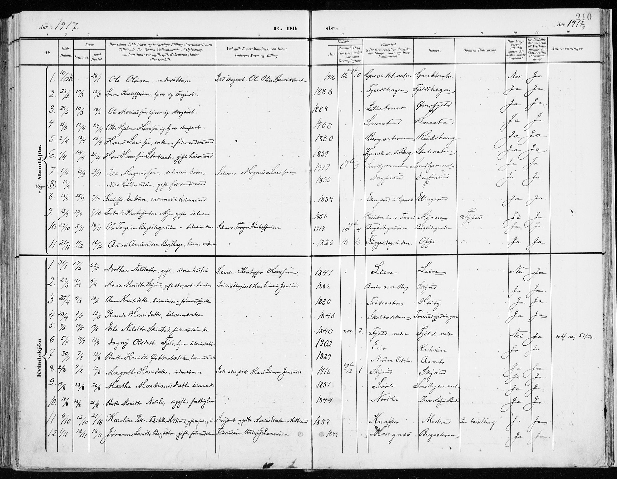 Nord-Odal prestekontor, SAH/PREST-032/H/Ha/Haa/L0009: Parish register (official) no. 9, 1902-1926, p. 210