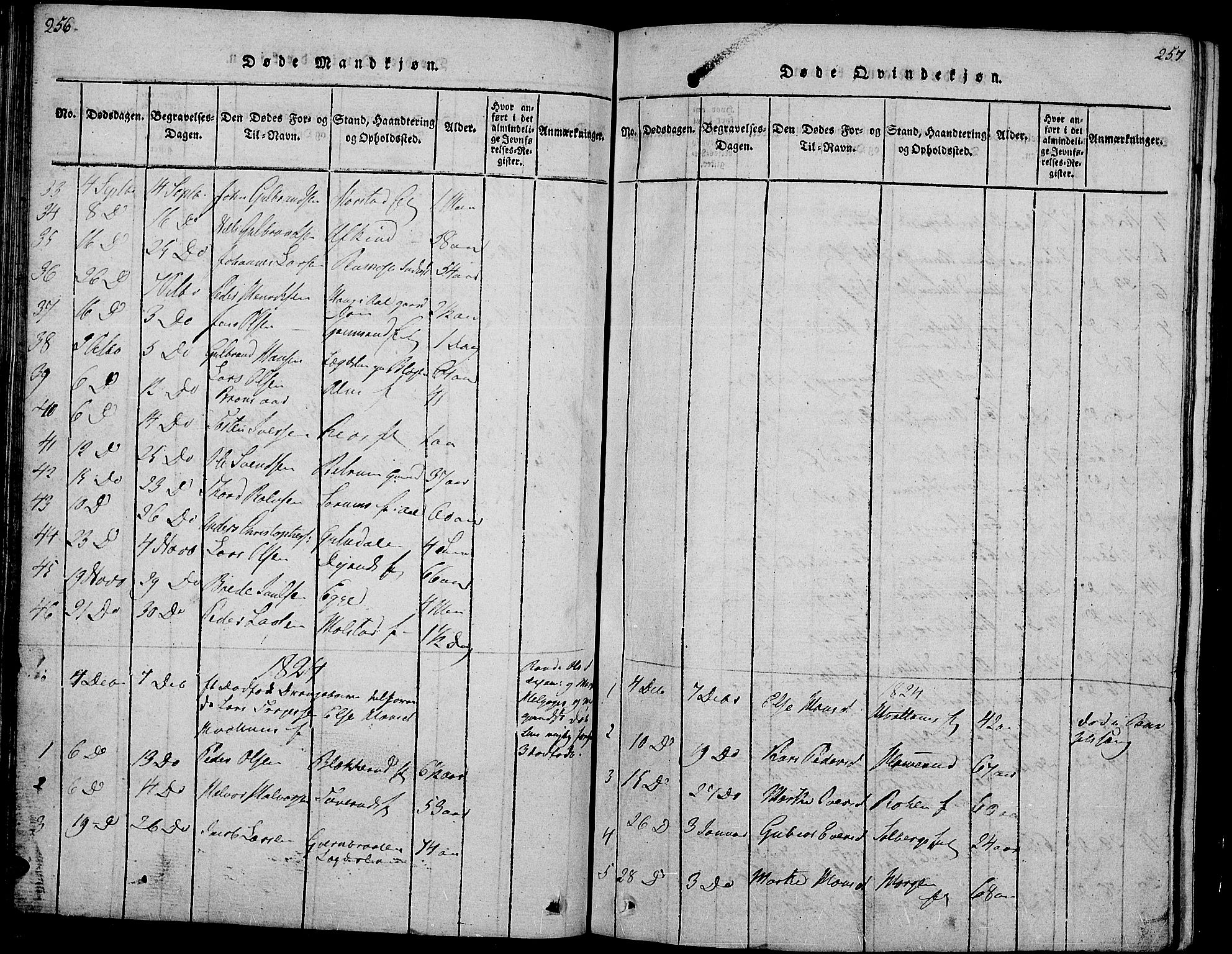 Gran prestekontor, AV/SAH-PREST-112/H/Ha/Hab/L0001: Parish register (copy) no. 1, 1815-1824, p. 256-257