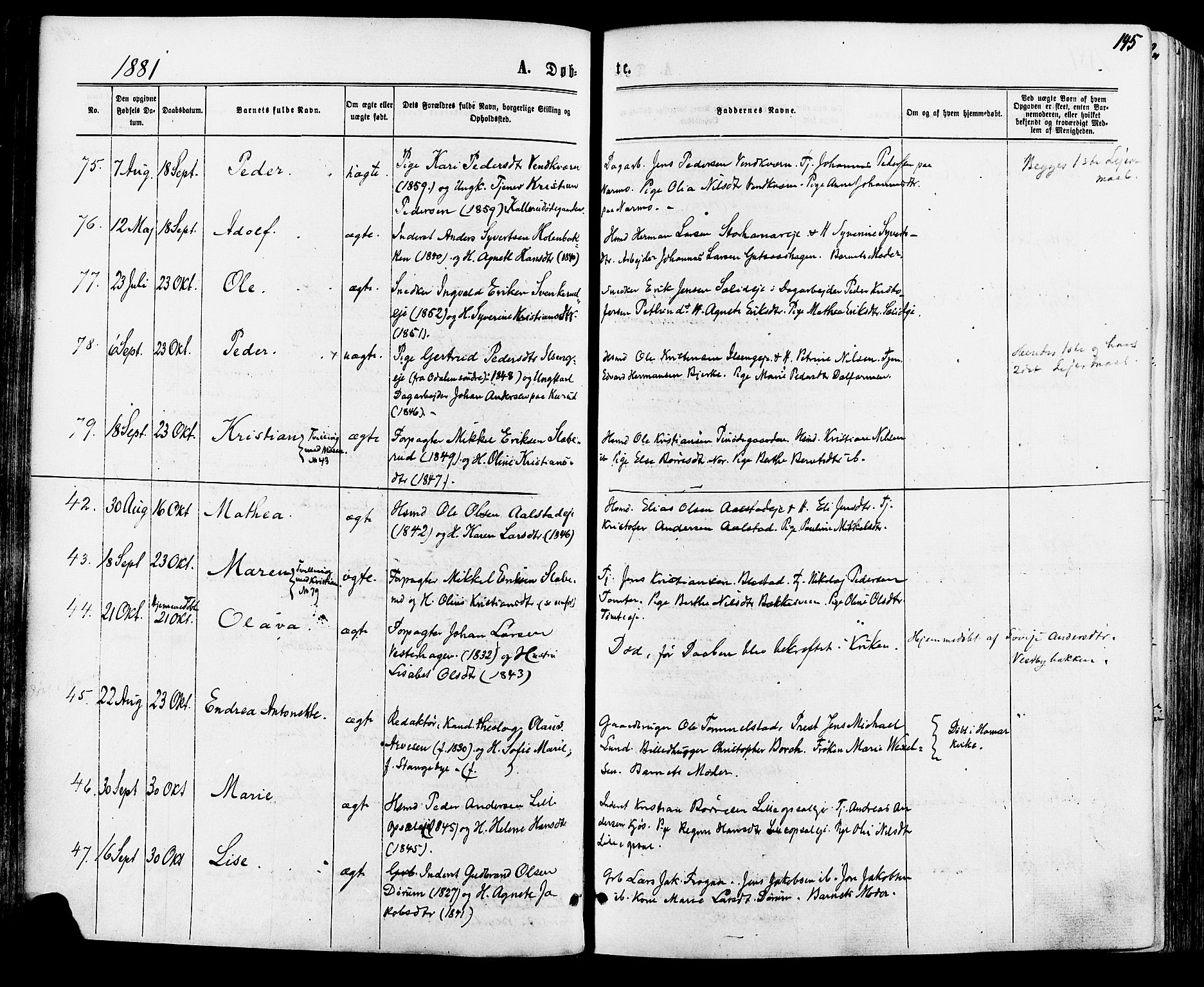 Vang prestekontor, Hedmark, AV/SAH-PREST-008/H/Ha/Haa/L0015: Parish register (official) no. 15, 1871-1885, p. 145