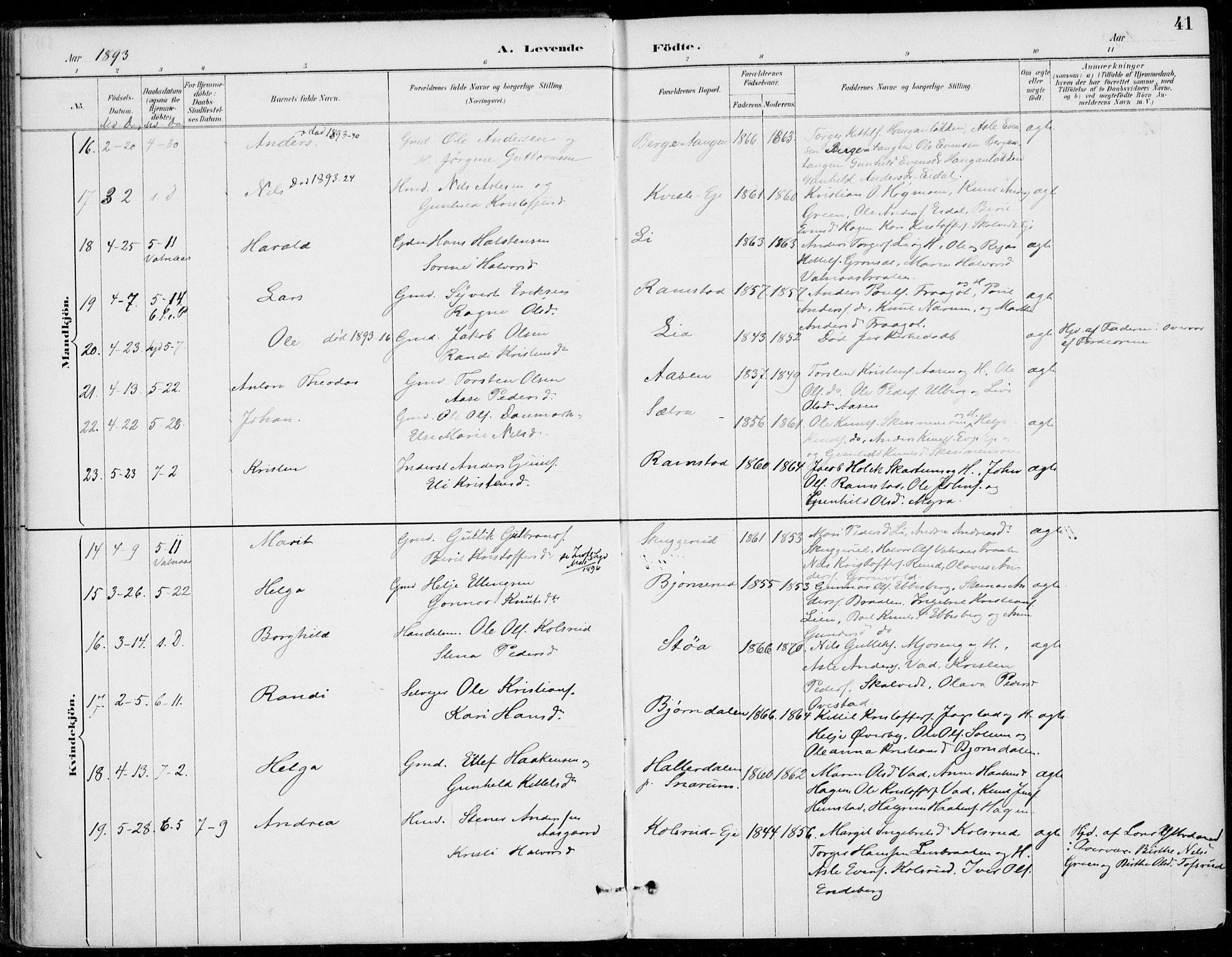 Sigdal kirkebøker, AV/SAKO-A-245/F/Fb/L0001: Parish register (official) no. II 1, 1888-1900, p. 41