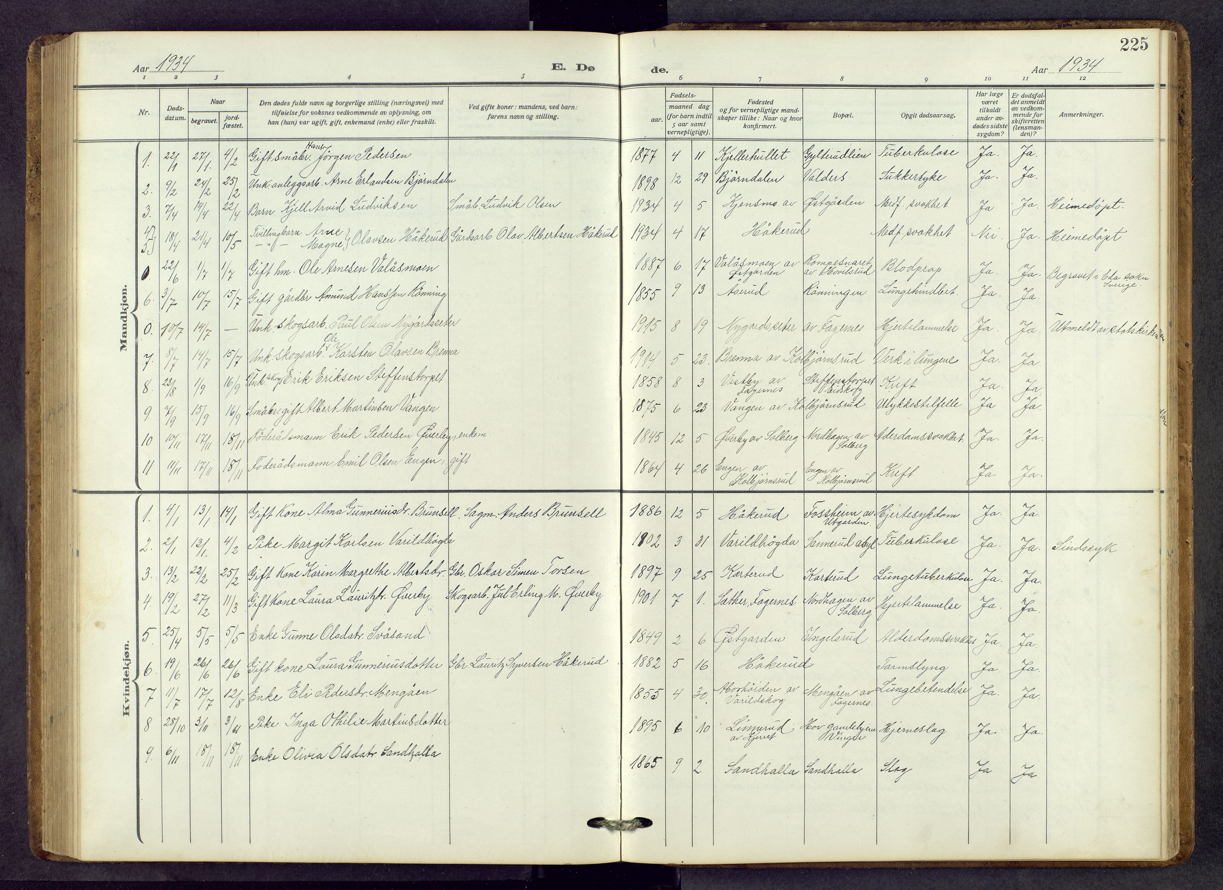 Vinger prestekontor, AV/SAH-PREST-024/H/Ha/Hab/L0006: Parish register (copy) no. 6, 1921-1973, p. 225