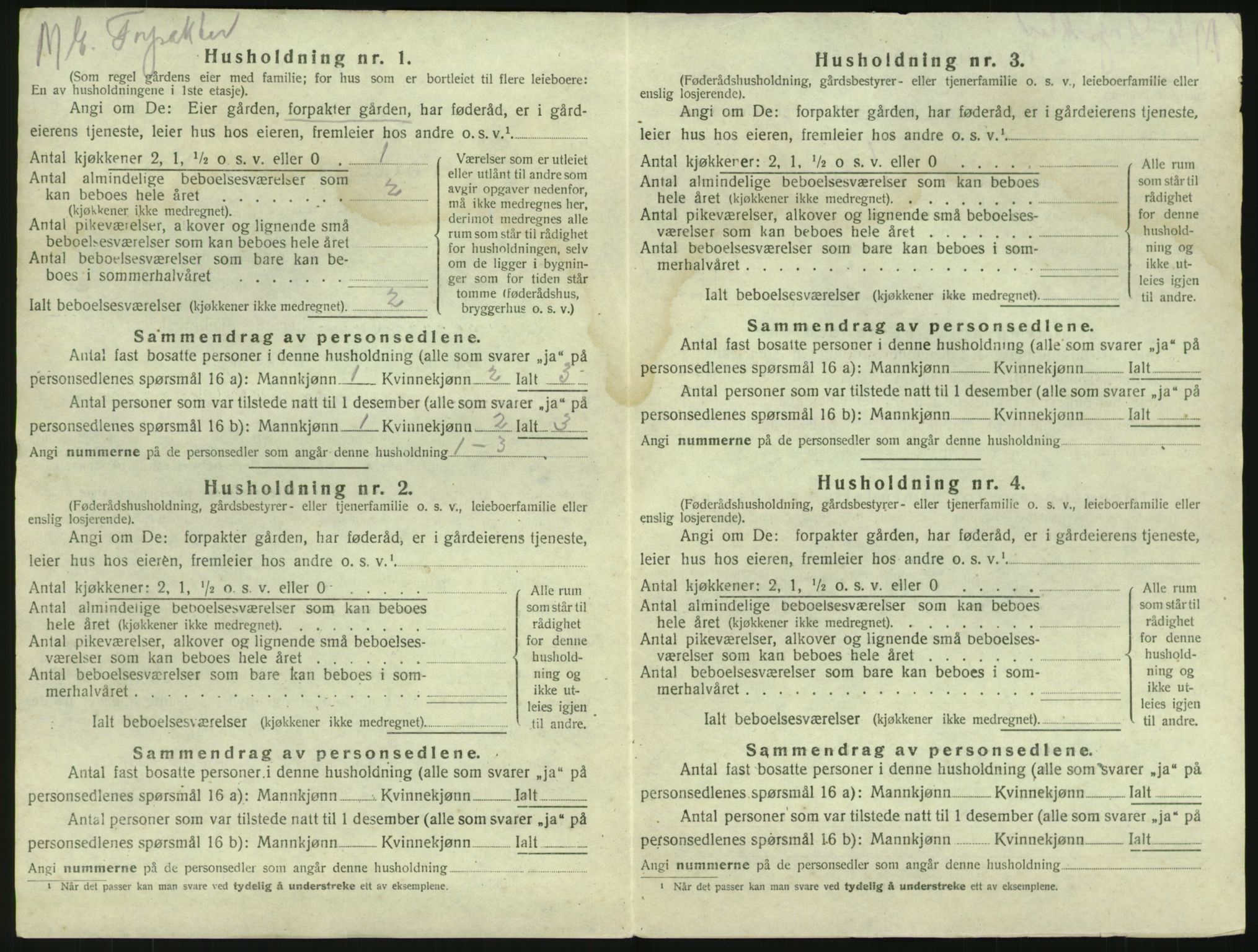 SAKO, 1920 census for Brunlanes, 1920, p. 1958