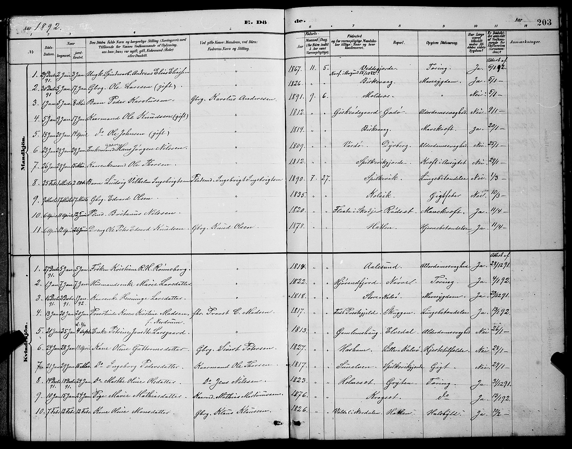 Ministerialprotokoller, klokkerbøker og fødselsregistre - Møre og Romsdal, AV/SAT-A-1454/528/L0430: Parish register (copy) no. 528C11, 1884-1899, p. 203