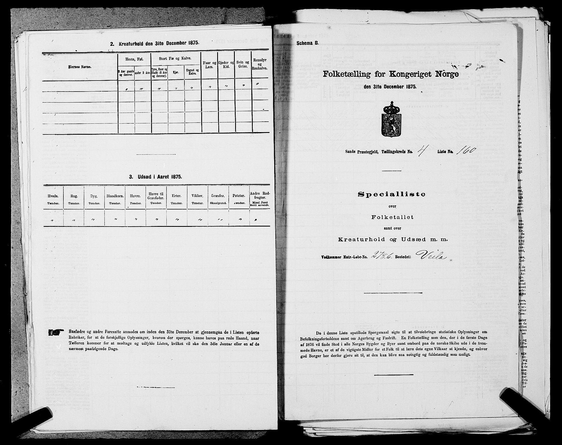 SAST, 1875 census for 1136P Sand, 1875, p. 649