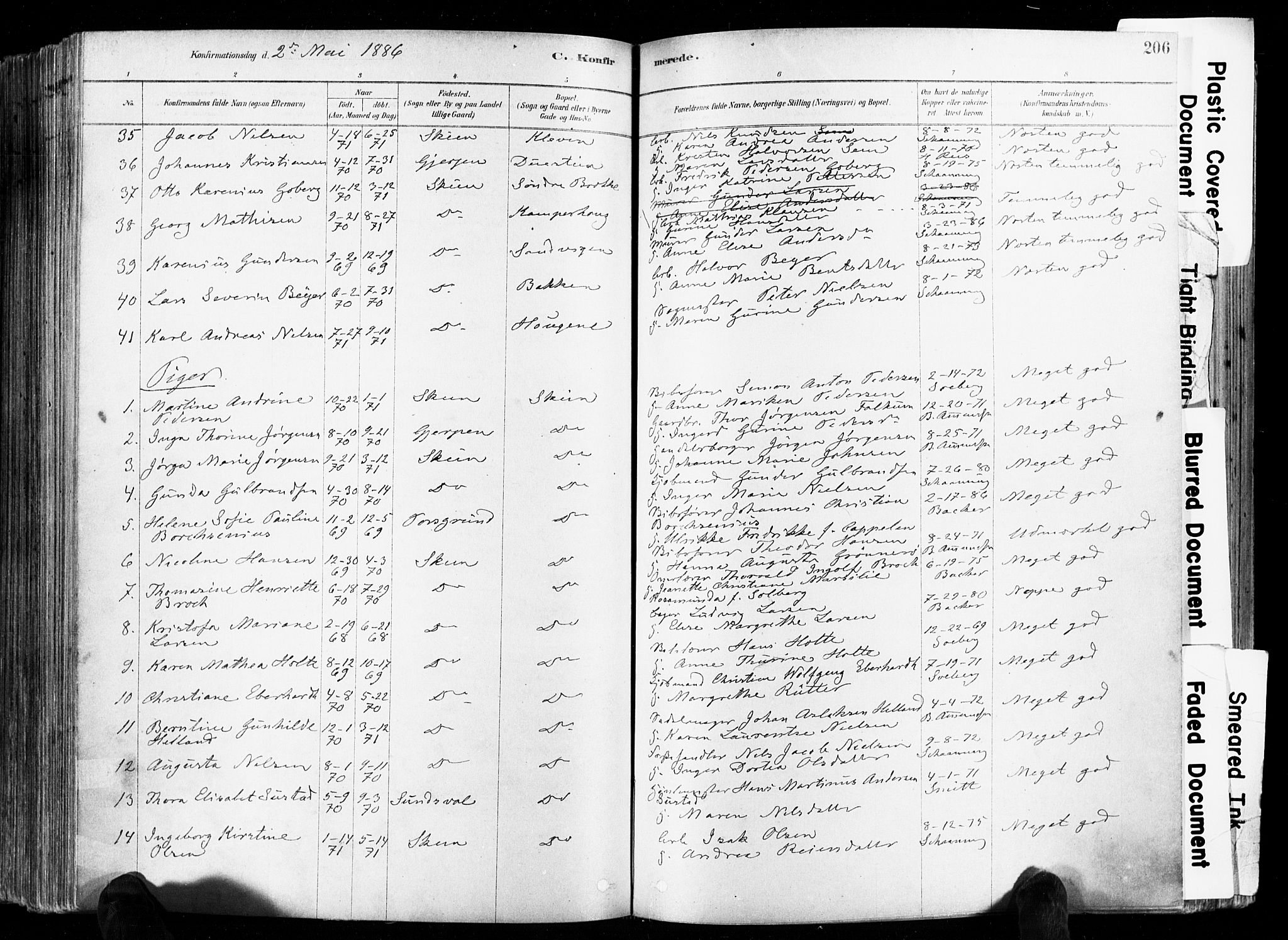 Skien kirkebøker, AV/SAKO-A-302/F/Fa/L0009: Parish register (official) no. 9, 1878-1890, p. 206