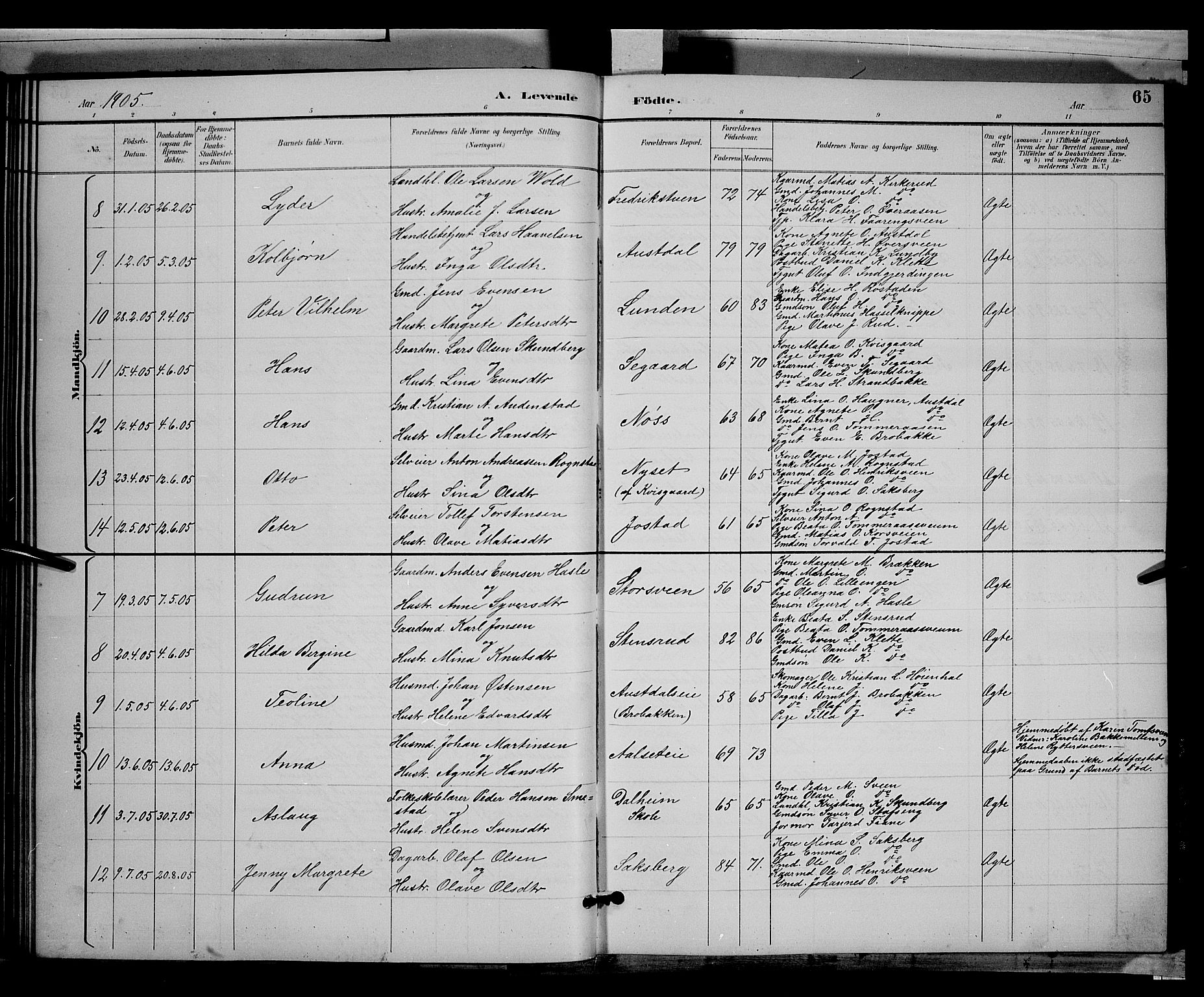 Biri prestekontor, SAH/PREST-096/H/Ha/Hab/L0003: Parish register (copy) no. 3, 1892-1905, p. 65