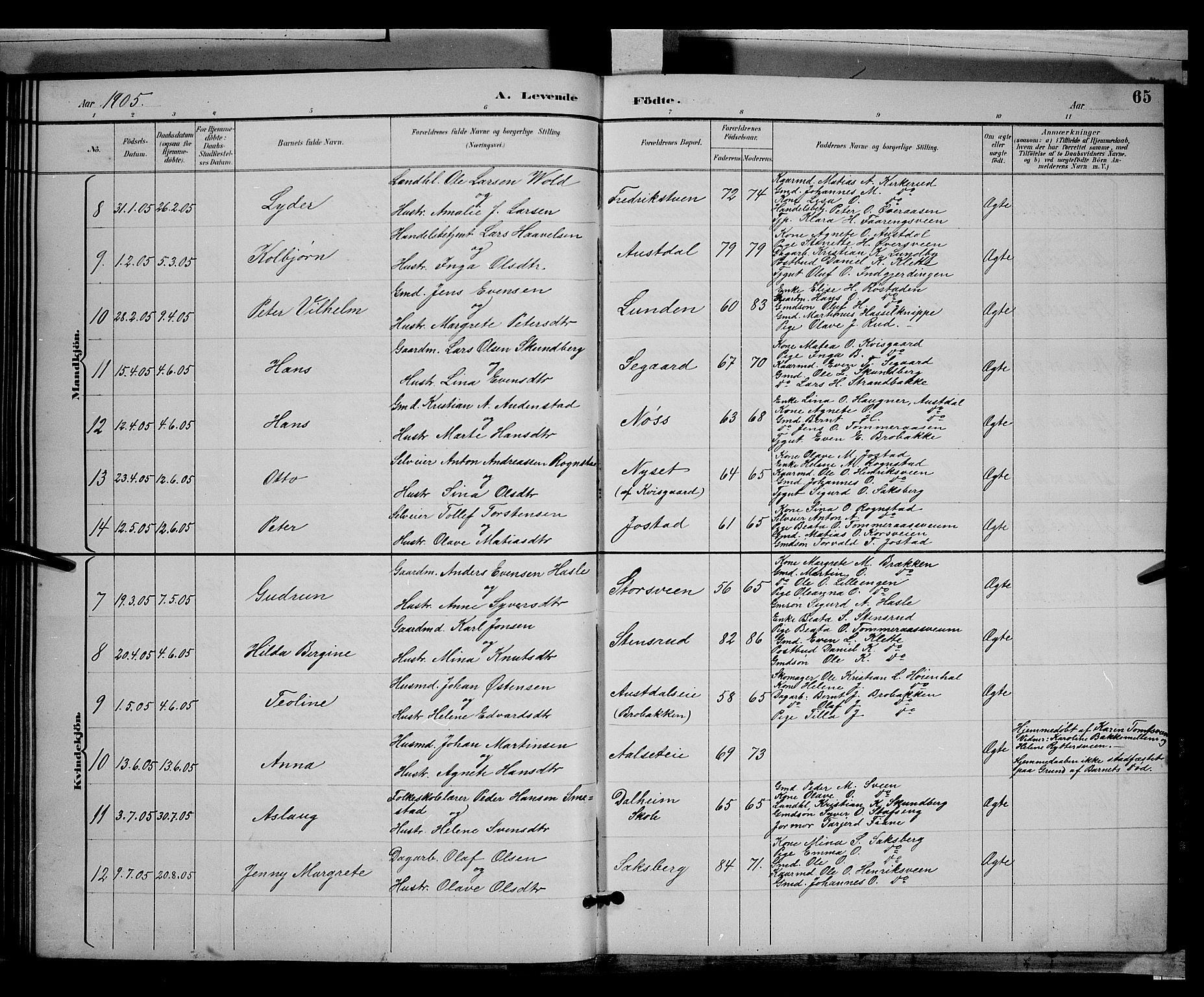 Biri prestekontor, AV/SAH-PREST-096/H/Ha/Hab/L0003: Parish register (copy) no. 3, 1892-1905, p. 65