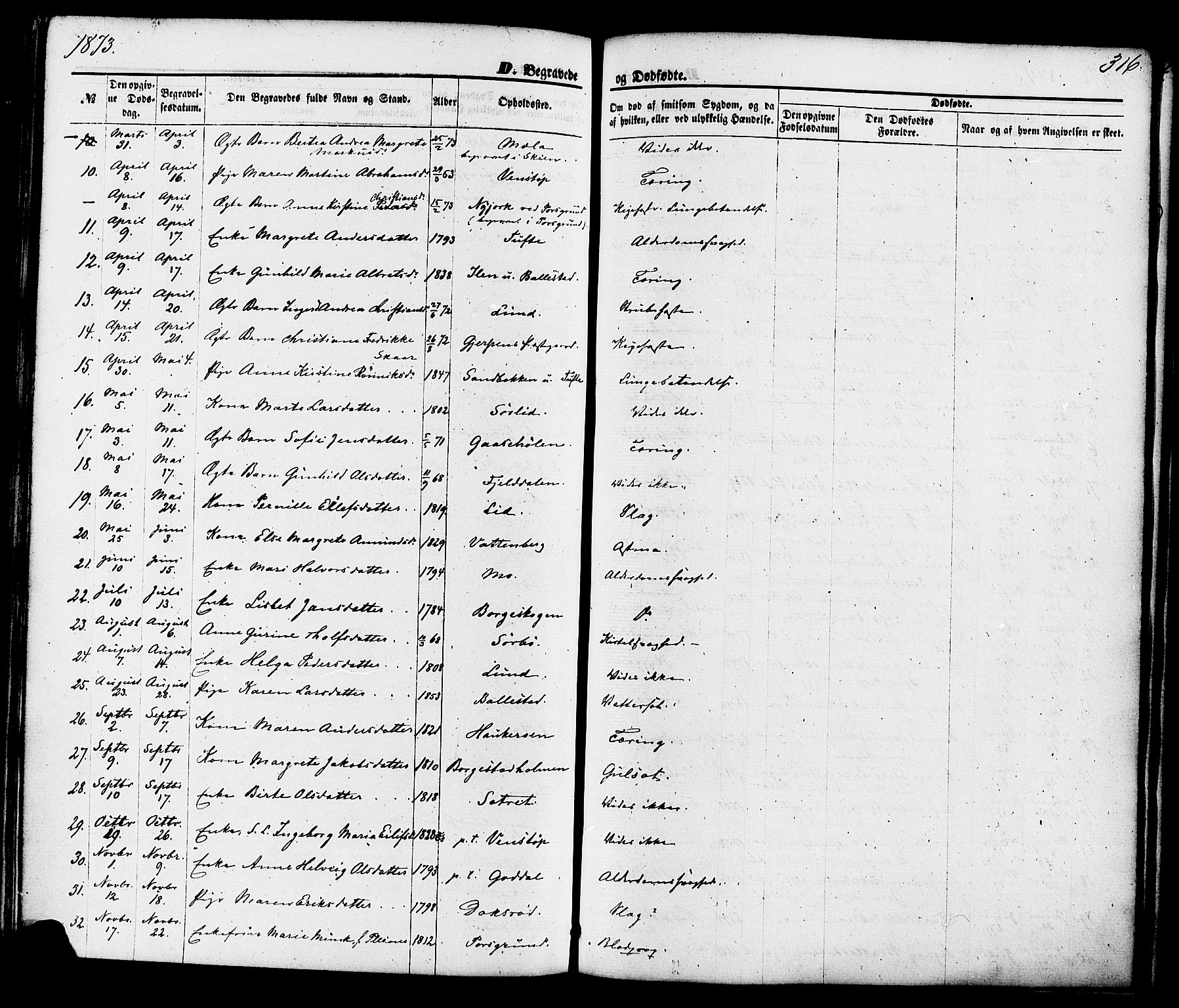 Gjerpen kirkebøker, SAKO/A-265/F/Fa/L0009: Parish register (official) no. I 9, 1872-1885, p. 316