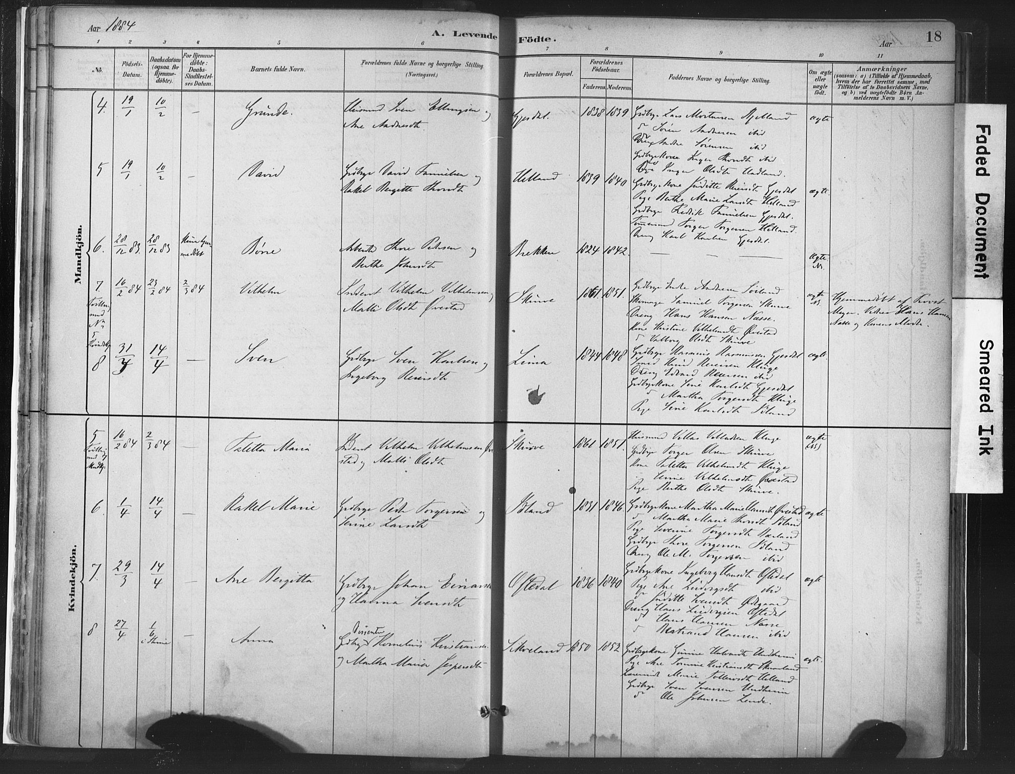 Lye sokneprestkontor, AV/SAST-A-101794/001/30BA/L0010: Parish register (official) no. A 10, 1881-1896, p. 18