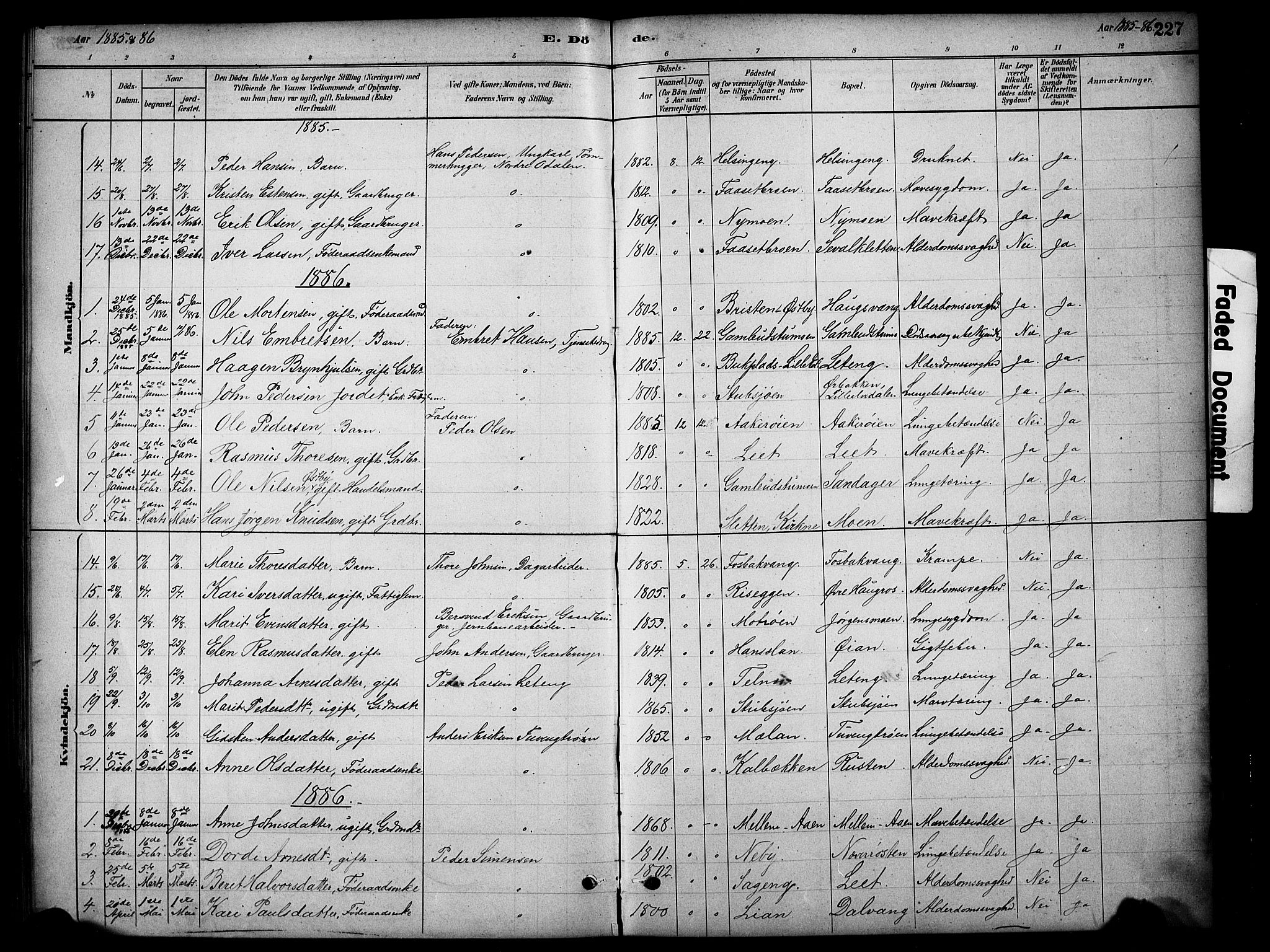 Tynset prestekontor, SAH/PREST-058/H/Ha/Hab/L0006: Parish register (copy) no. 6, 1880-1899, p. 227