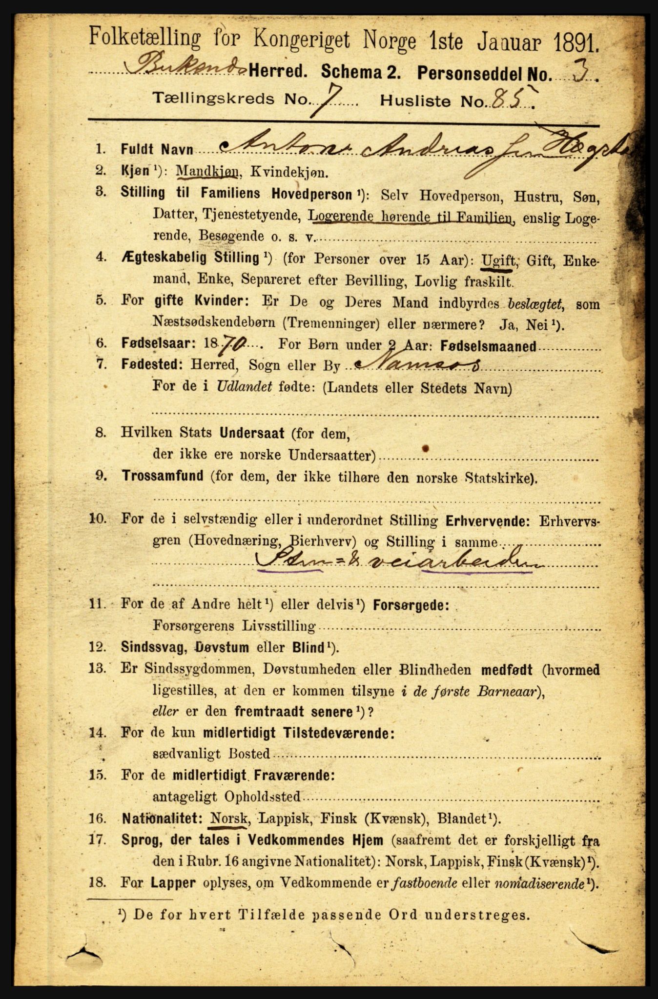 RA, 1891 census for 1860 Buksnes, 1891, p. 5556