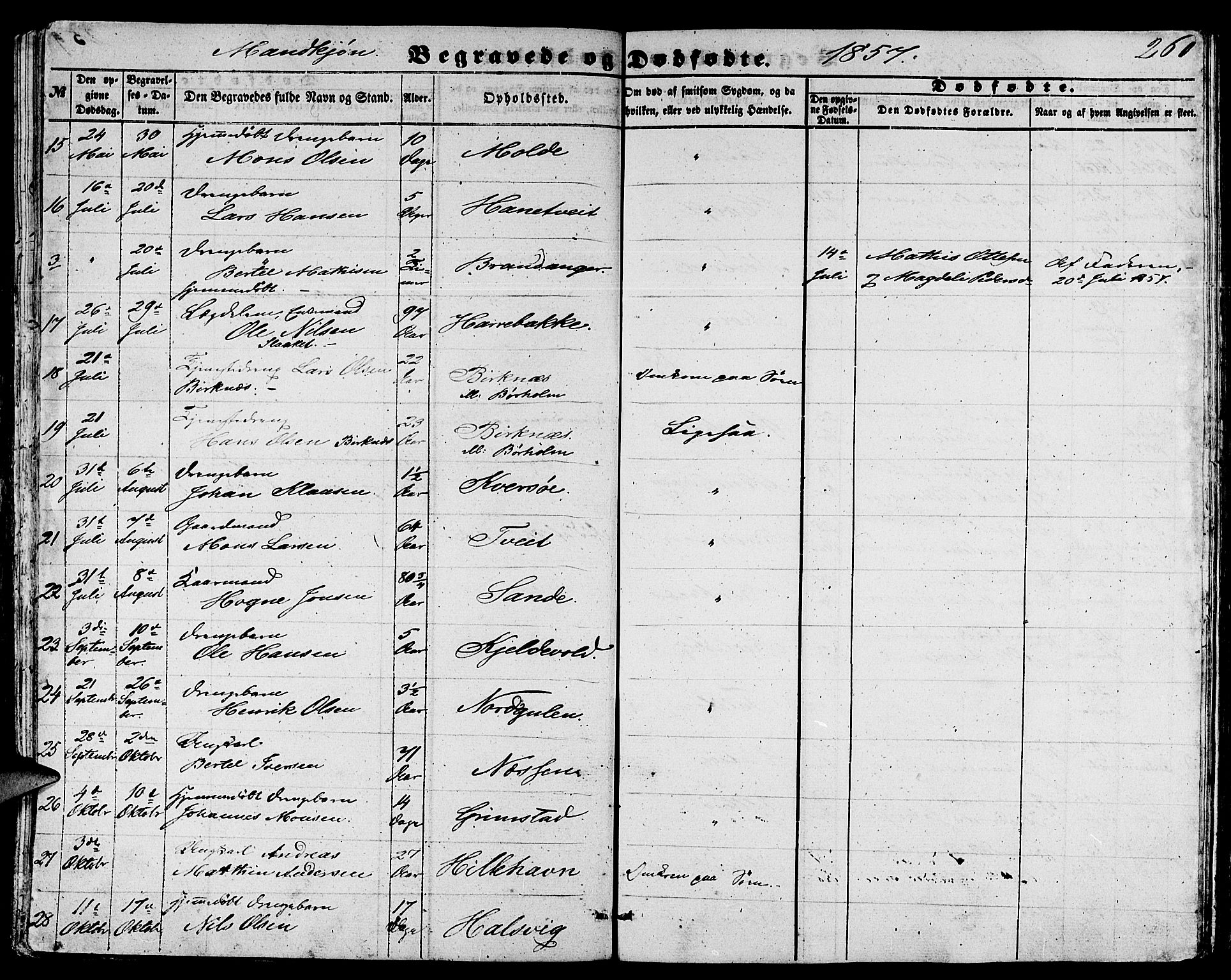 Gulen sokneprestembete, AV/SAB-A-80201/H/Hab/Habb/L0001: Parish register (copy) no. B 1, 1854-1866, p. 260