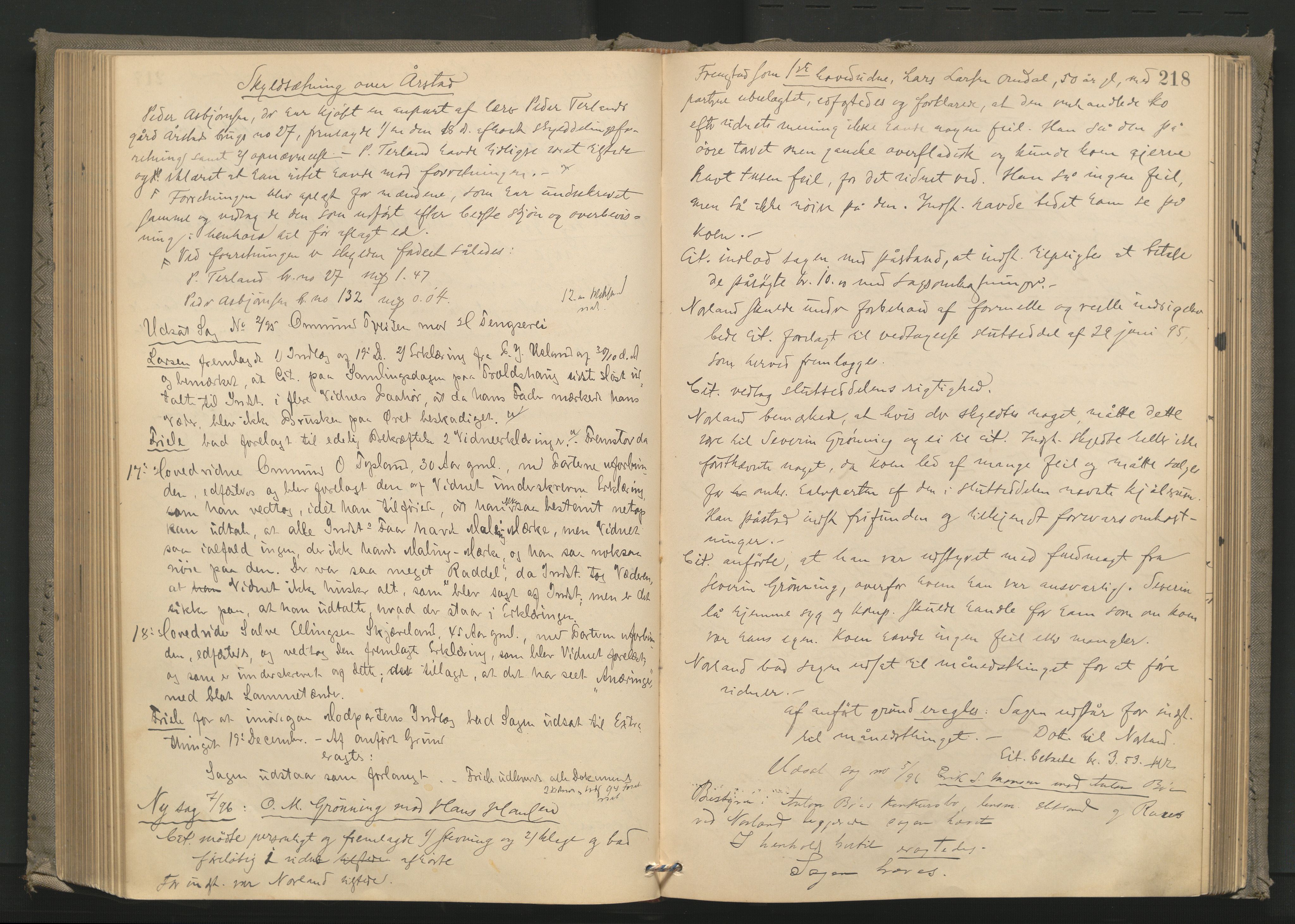 Dalane sorenskriveri, AV/SAST-A-100309/001/3/30/30BA/L0005: TINGBOK, 1894-1898, p. 217b-218a