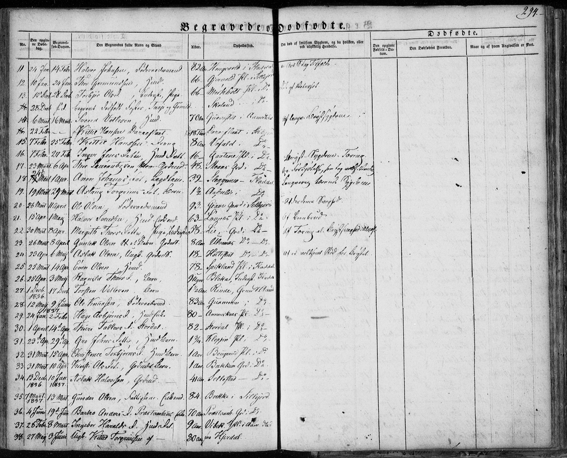 Seljord kirkebøker, SAKO/A-20/F/Fa/L0011: Parish register (official) no. I 11, 1831-1849, p. 294