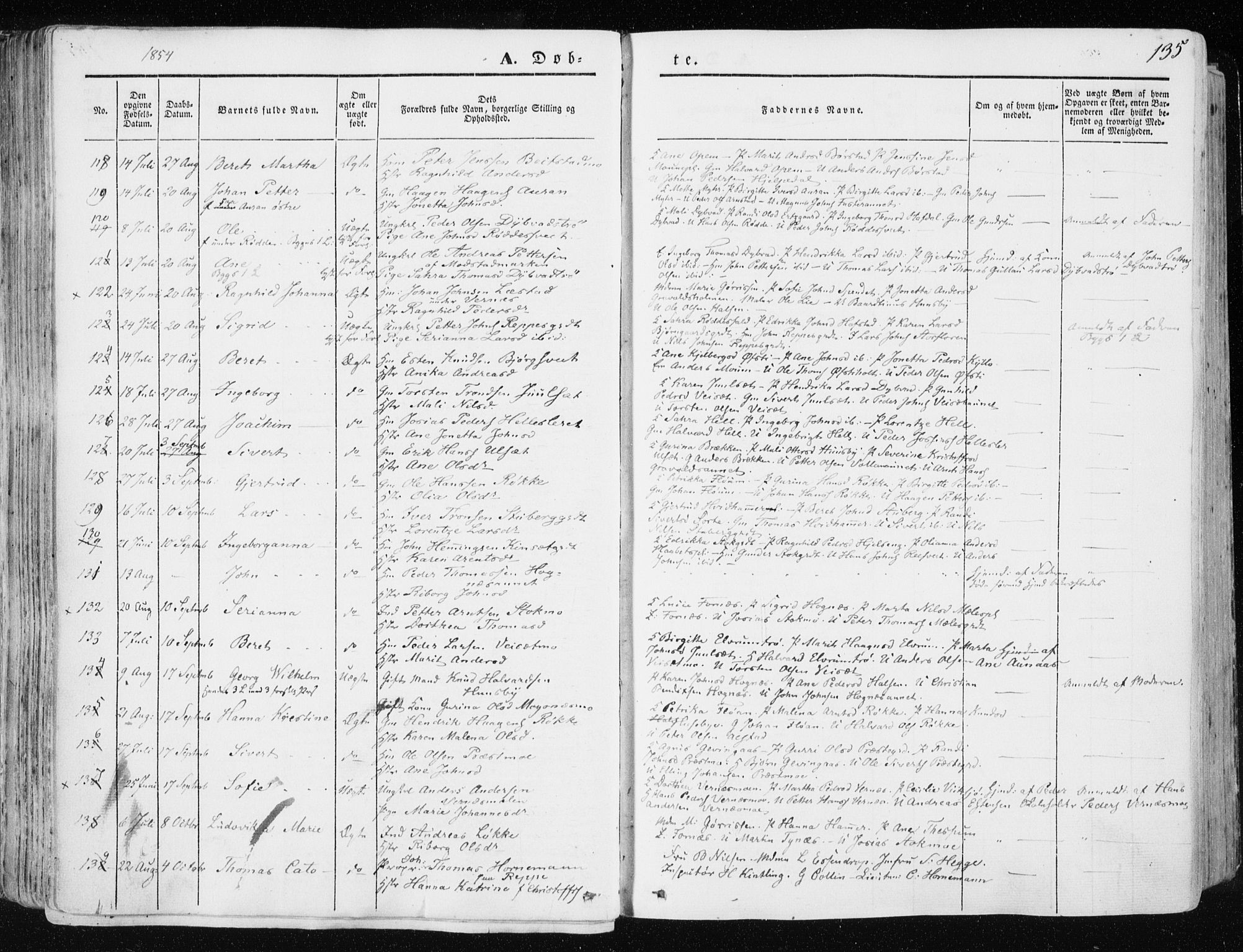 Ministerialprotokoller, klokkerbøker og fødselsregistre - Nord-Trøndelag, AV/SAT-A-1458/709/L0074: Parish register (official) no. 709A14, 1845-1858, p. 135