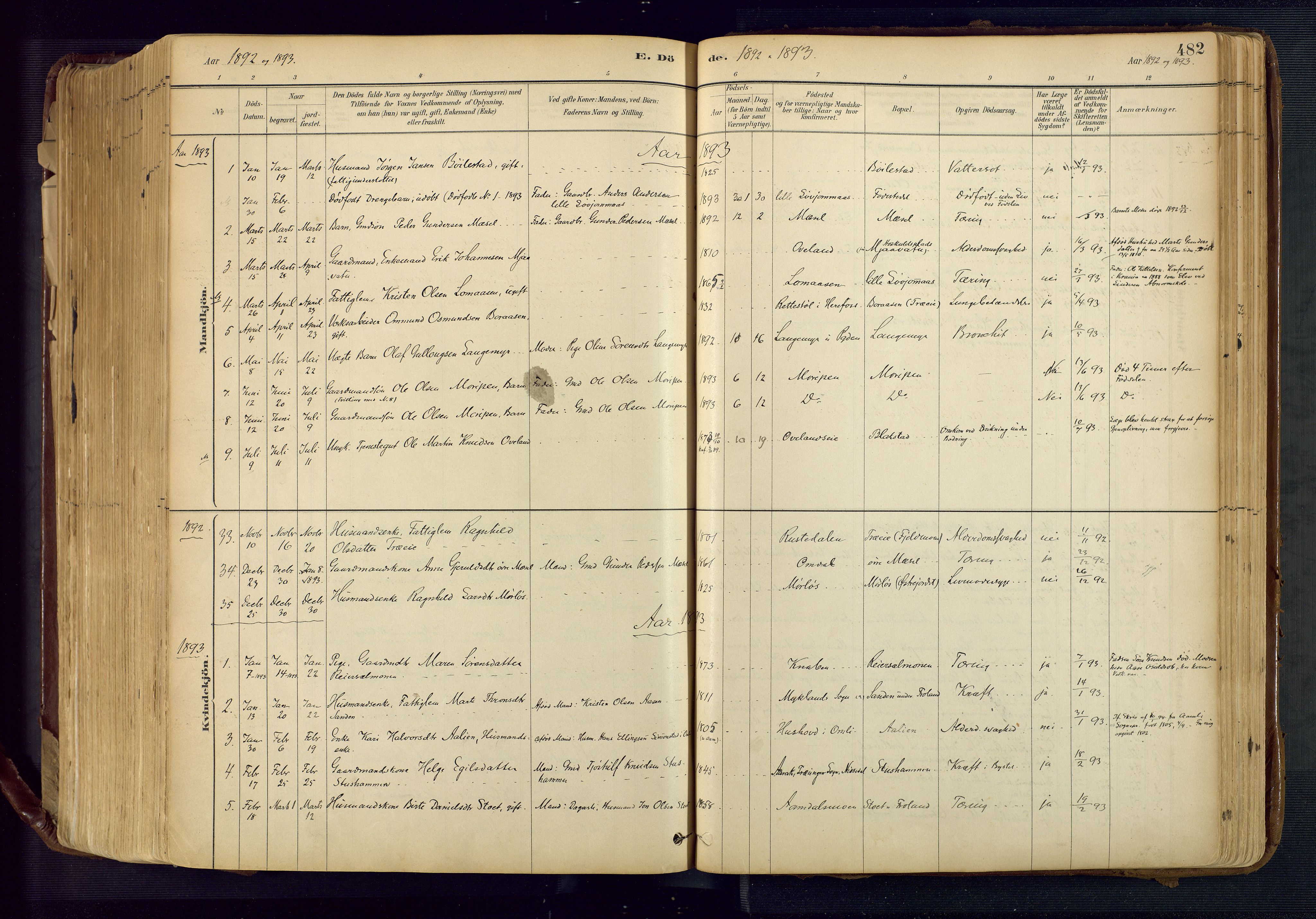 Froland sokneprestkontor, AV/SAK-1111-0013/F/Fa/L0005: Parish register (official) no. A 5, 1882-1921, p. 482