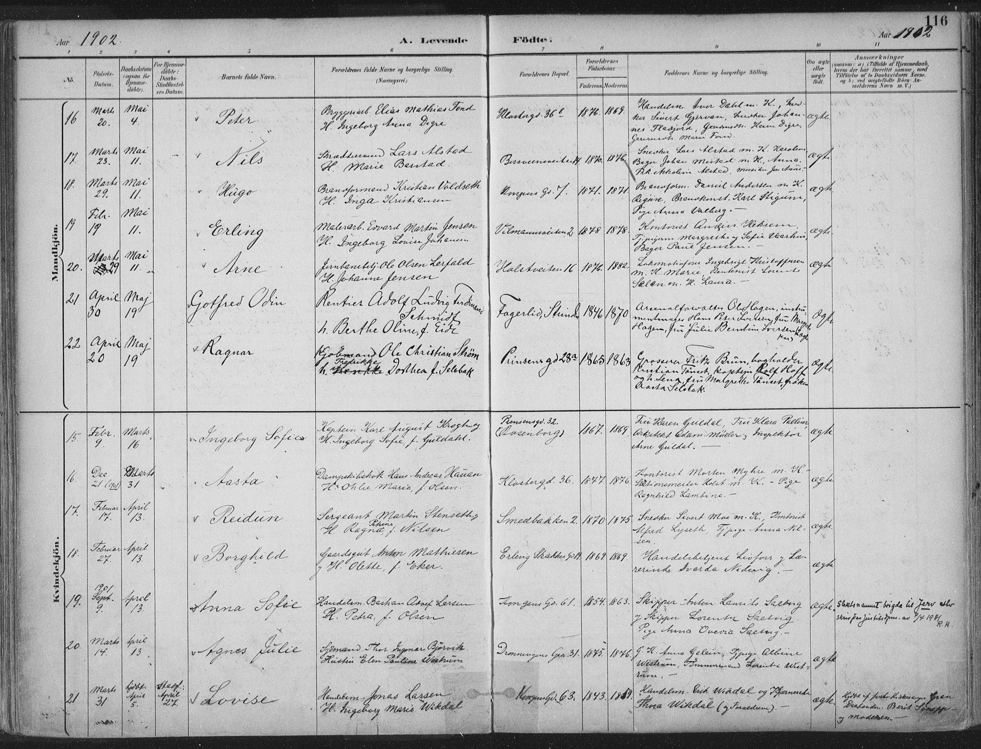 Ministerialprotokoller, klokkerbøker og fødselsregistre - Sør-Trøndelag, SAT/A-1456/601/L0062: Parish register (official) no. 601A30, 1891-1911, p. 116