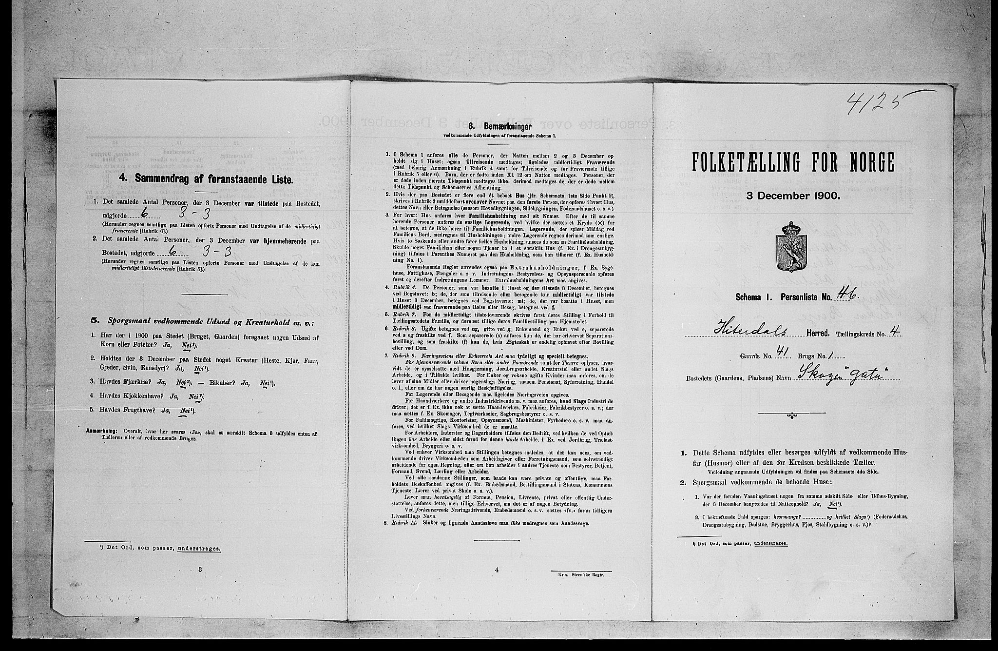 SAKO, 1900 census for Heddal, 1900, p. 596