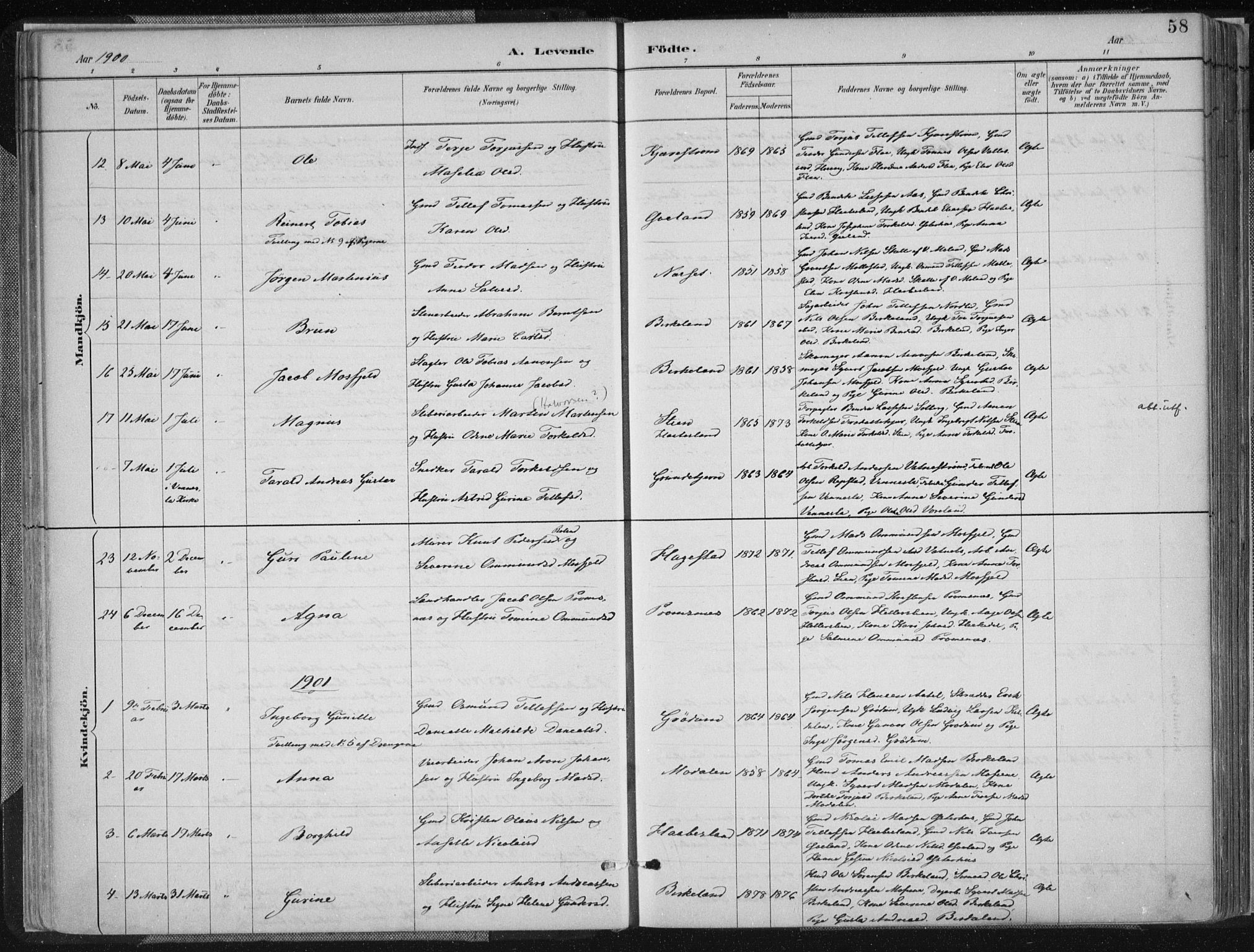 Birkenes sokneprestkontor, SAK/1111-0004/F/Fa/L0005: Parish register (official) no. A 5, 1887-1907, p. 58