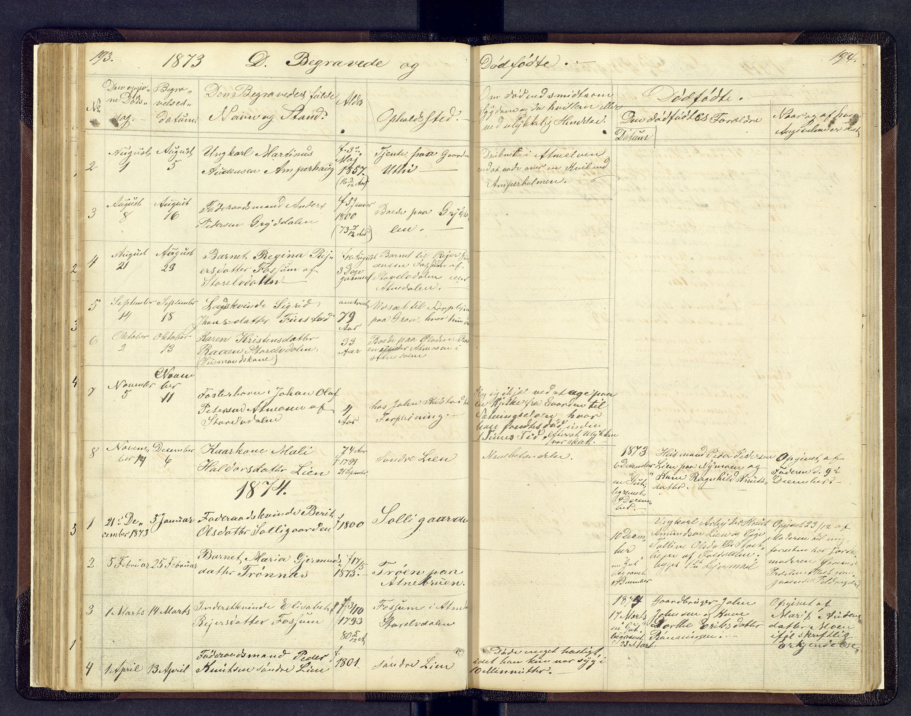 Sollia prestekontor, SAH/PREST-050/H/Ha/Hab/L0001: Parish register (copy) no. 1, 1862-1879, p. 193-194
