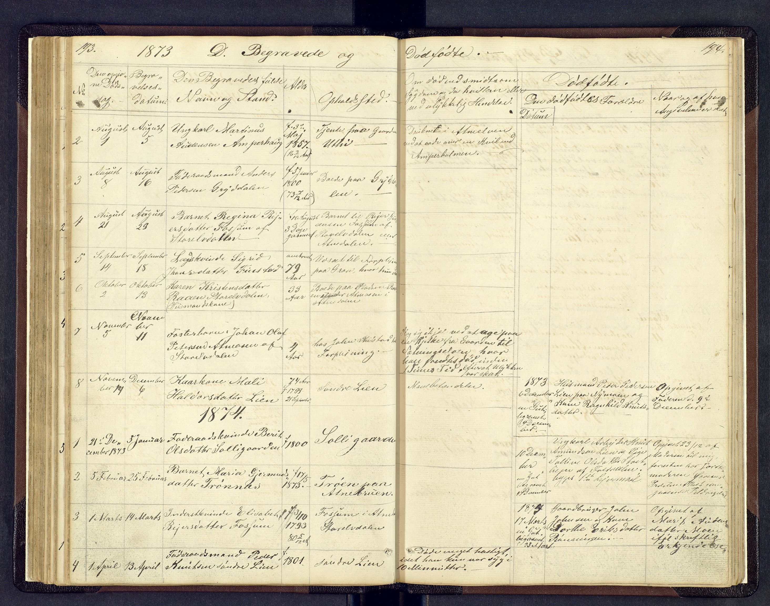 Sollia prestekontor, AV/SAH-PREST-050/H/Ha/Hab/L0001: Parish register (copy) no. 1, 1862-1879, p. 193-194