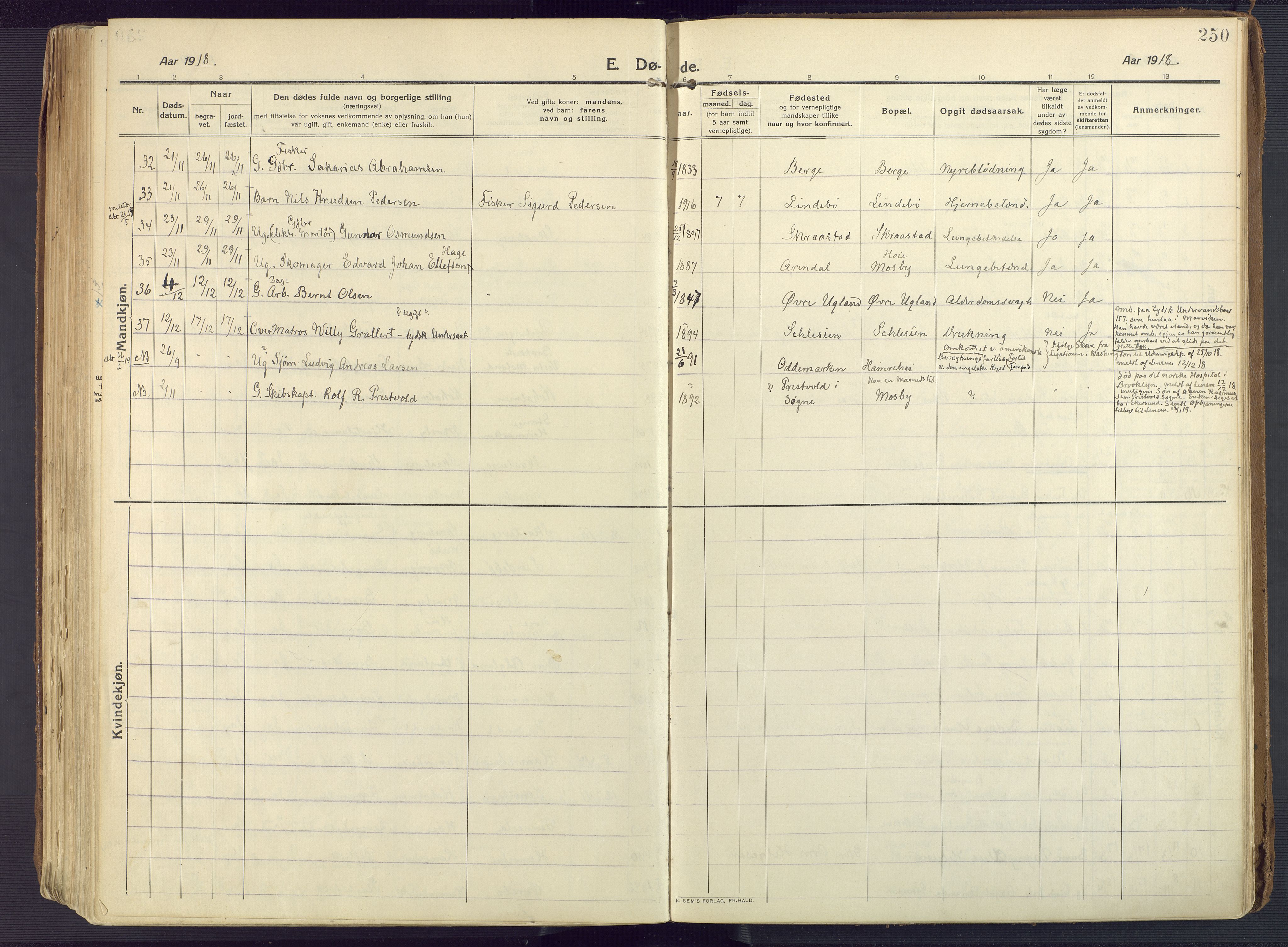 Oddernes sokneprestkontor, AV/SAK-1111-0033/F/Fa/Faa/L0012: Parish register (official) no. A 12, 1912-1925, p. 250