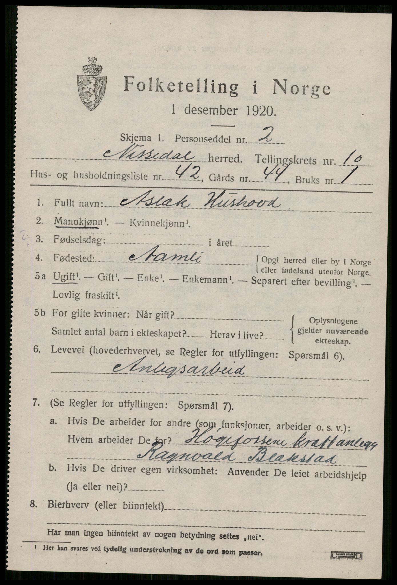 SAKO, 1920 census for Nissedal, 1920, p. 4393