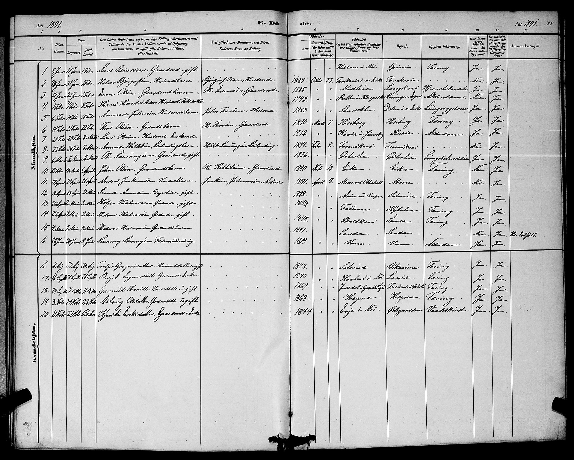 Bø kirkebøker, SAKO/A-257/G/Ga/L0005: Parish register (copy) no. 5, 1883-1897, p. 185