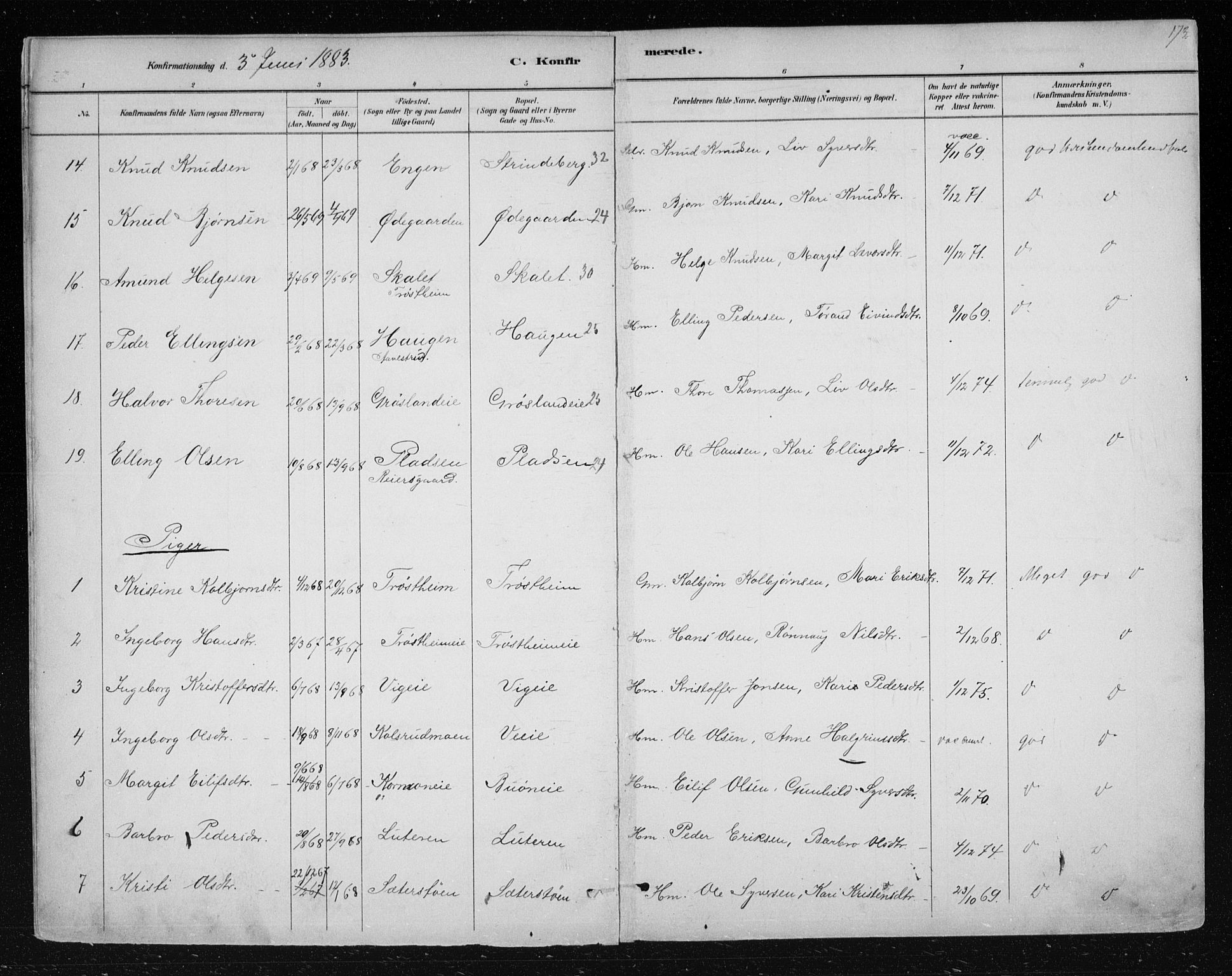 Nes kirkebøker, SAKO/A-236/F/Fa/L0012: Parish register (official) no. 12, 1881-1917, p. 173